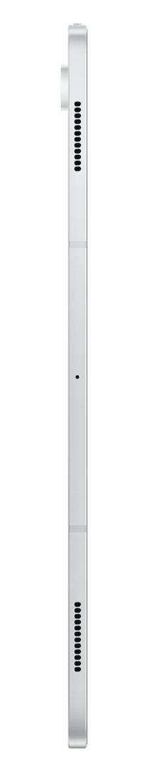 Samsung Galaxy Tab S10 Ultra X926, Platinum Silver, 12GB RAM, 256GB Flash, 5G