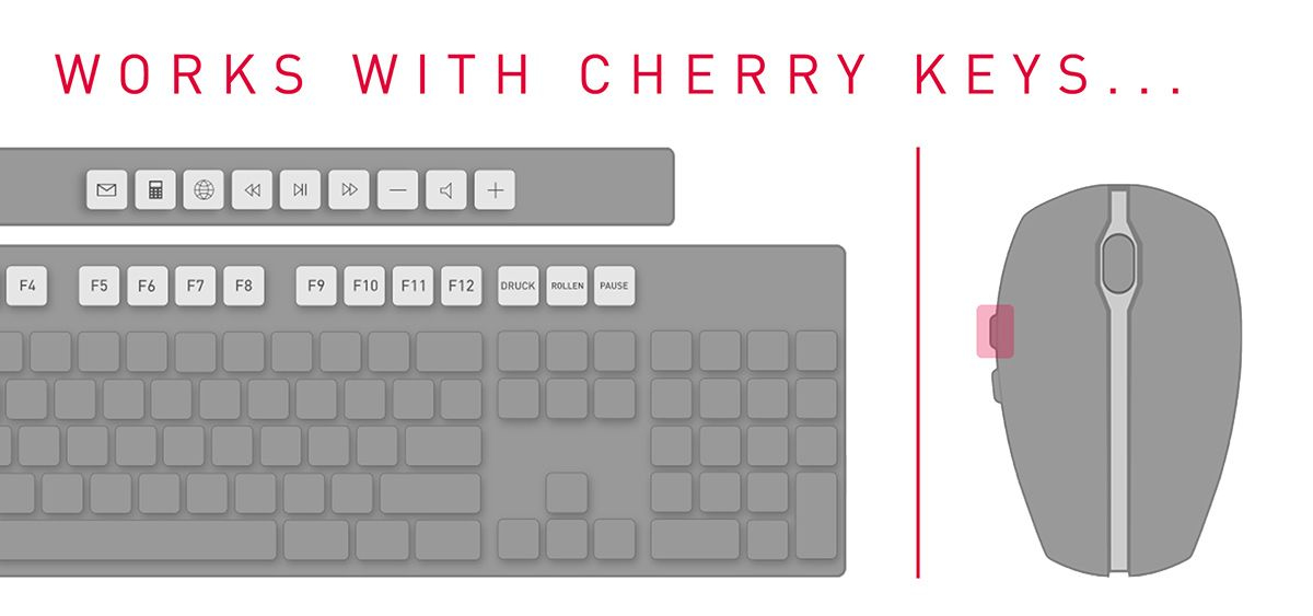Cherry DW 3000 - Tastatur-und-Maus-Set - kabellos