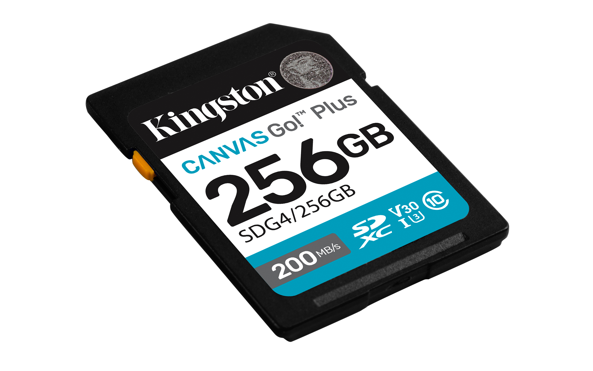 Kingston Canvas Go! Plus - Flash-Speicherkarte