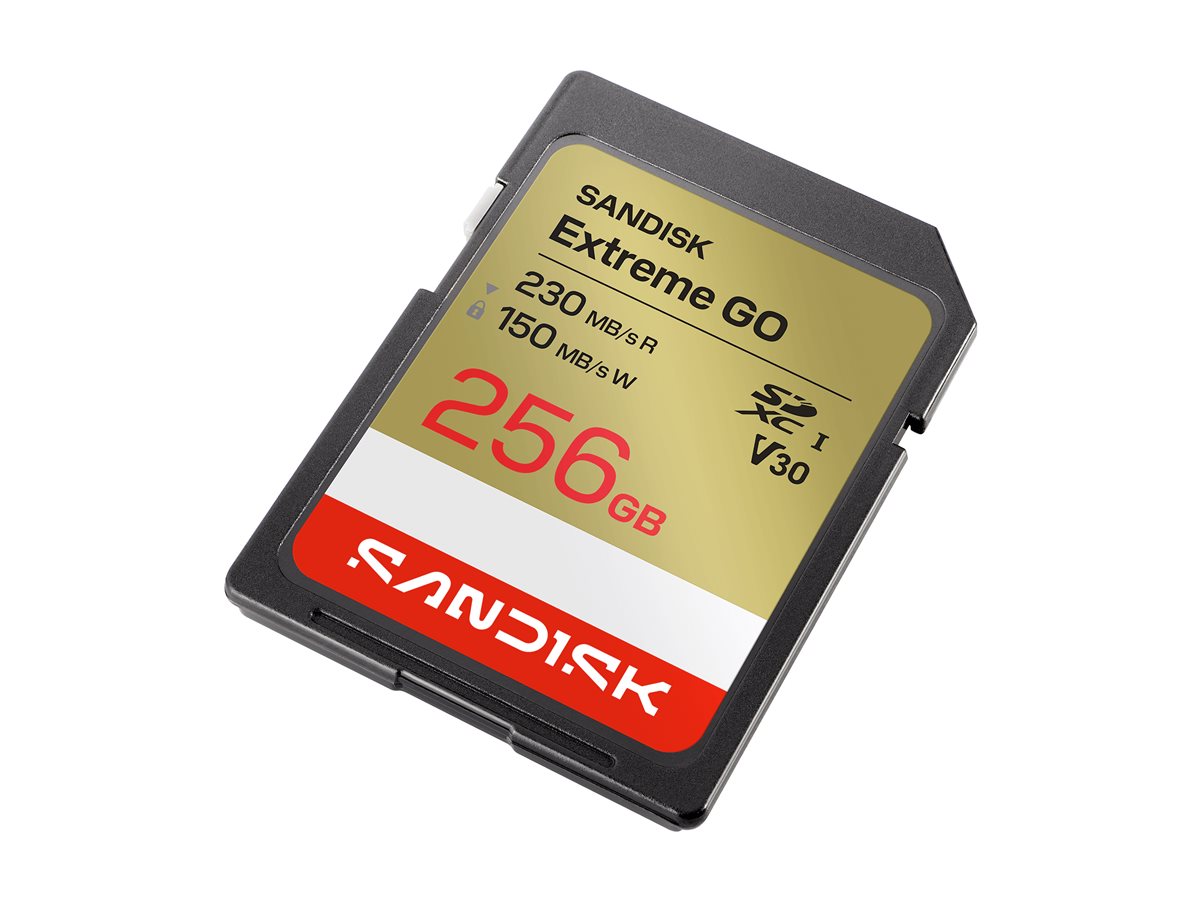 SanDisk Extreme Go - Flash-Speicherkarte - 256 GB