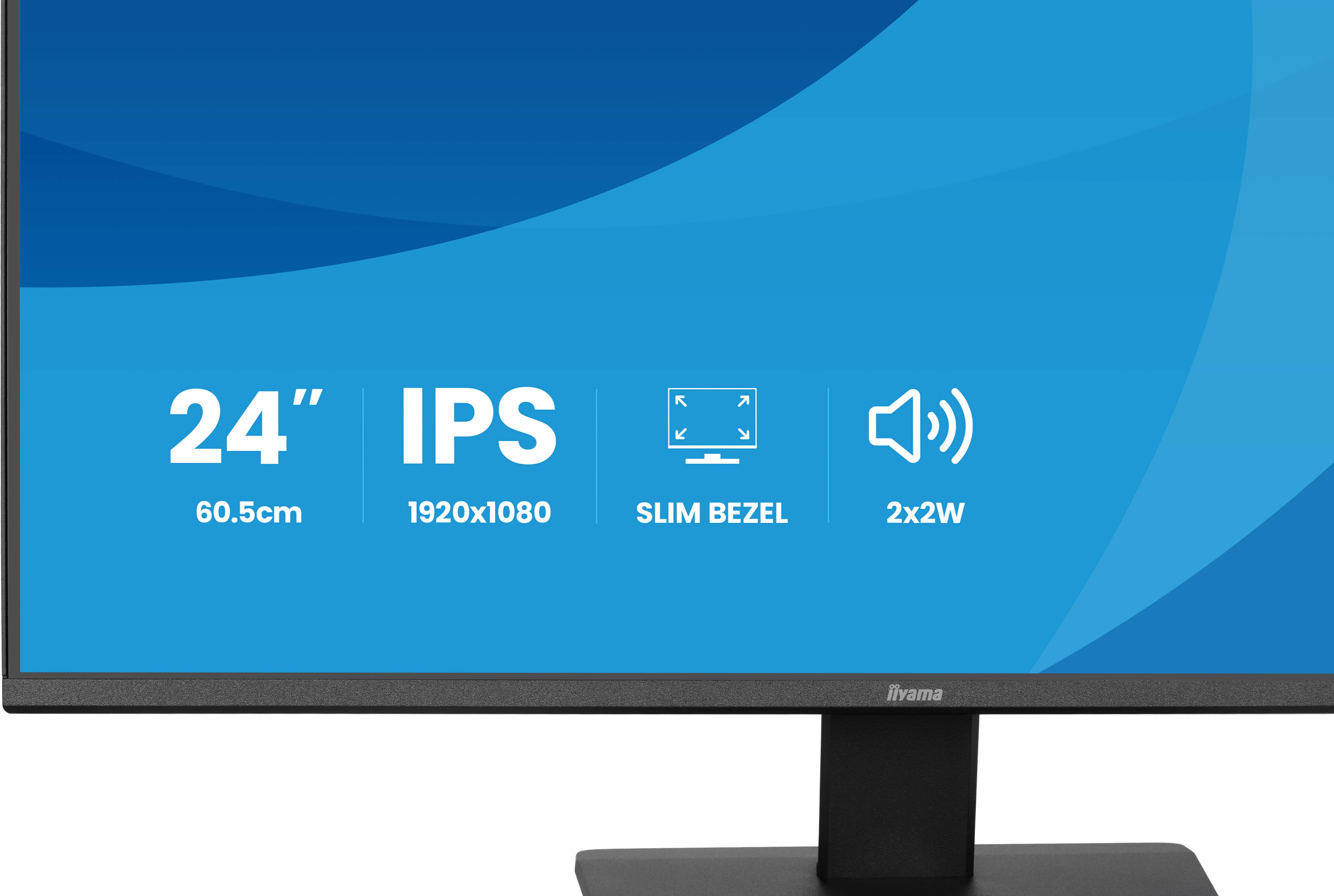 Iiyama ProLite X2491HS-B1 - LED-Monitor - 61 cm (24")