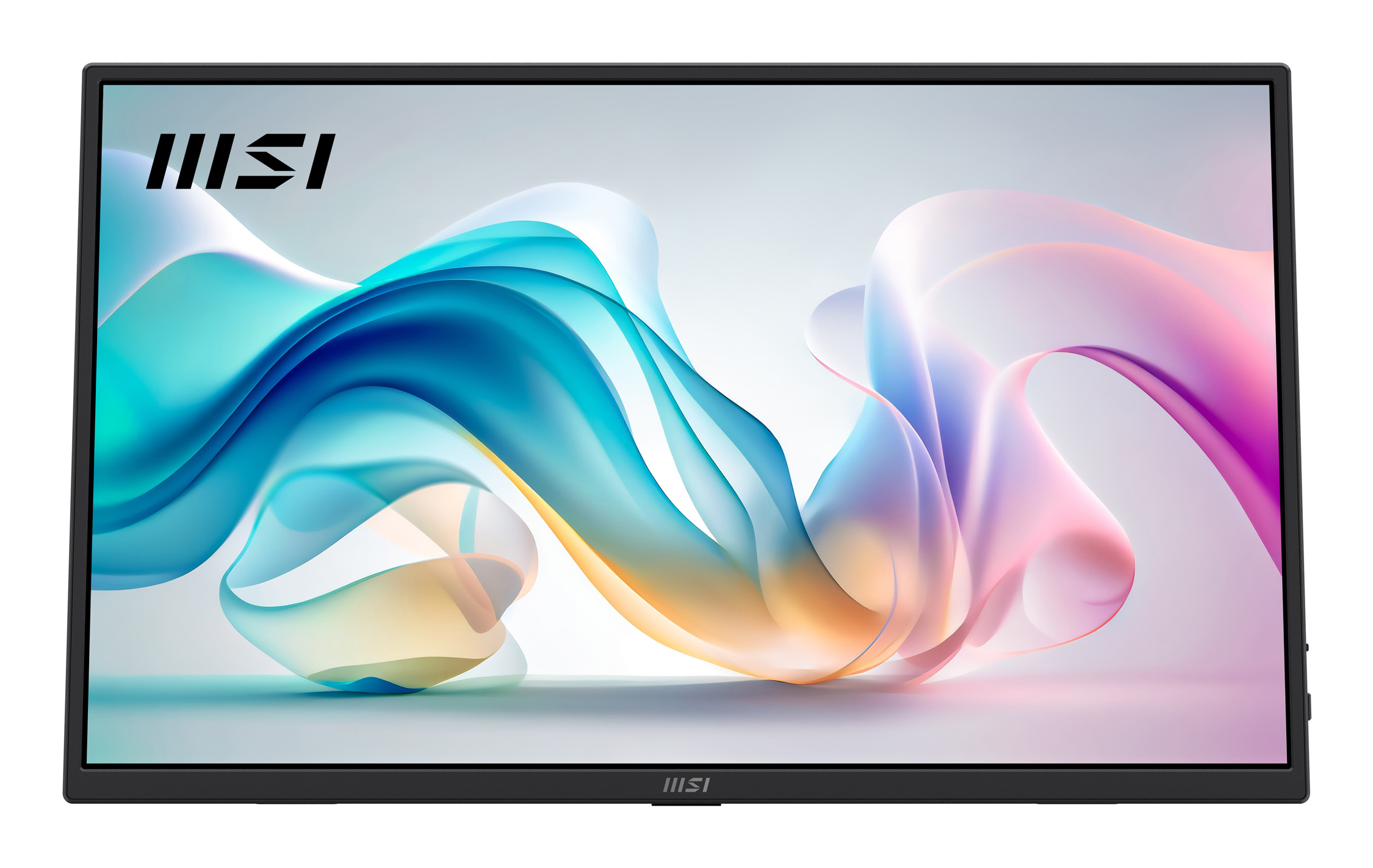 MSI PRO MP165DE E6 - LED-Monitor - 40.6 cm (16")