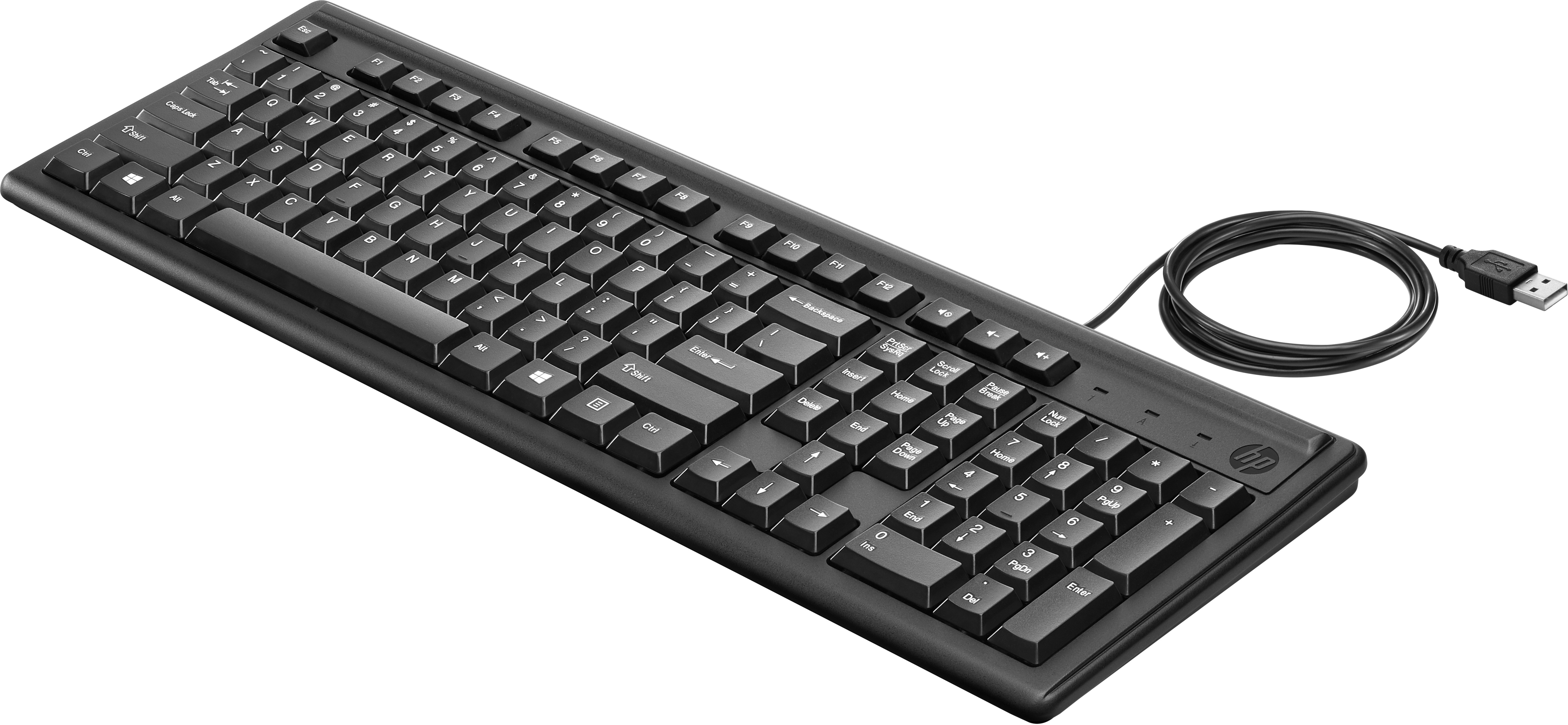 HP 100 Tastatur, Volle Größe (100%), Kabelgebunden, USB, Schwarz