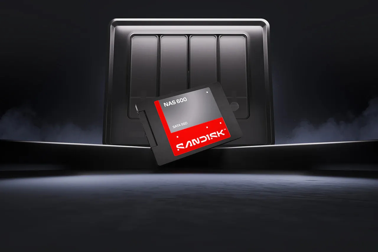 SanDisk NAS 600 - SSD - 2 TB - intern - 2.5" (6.4 cm)