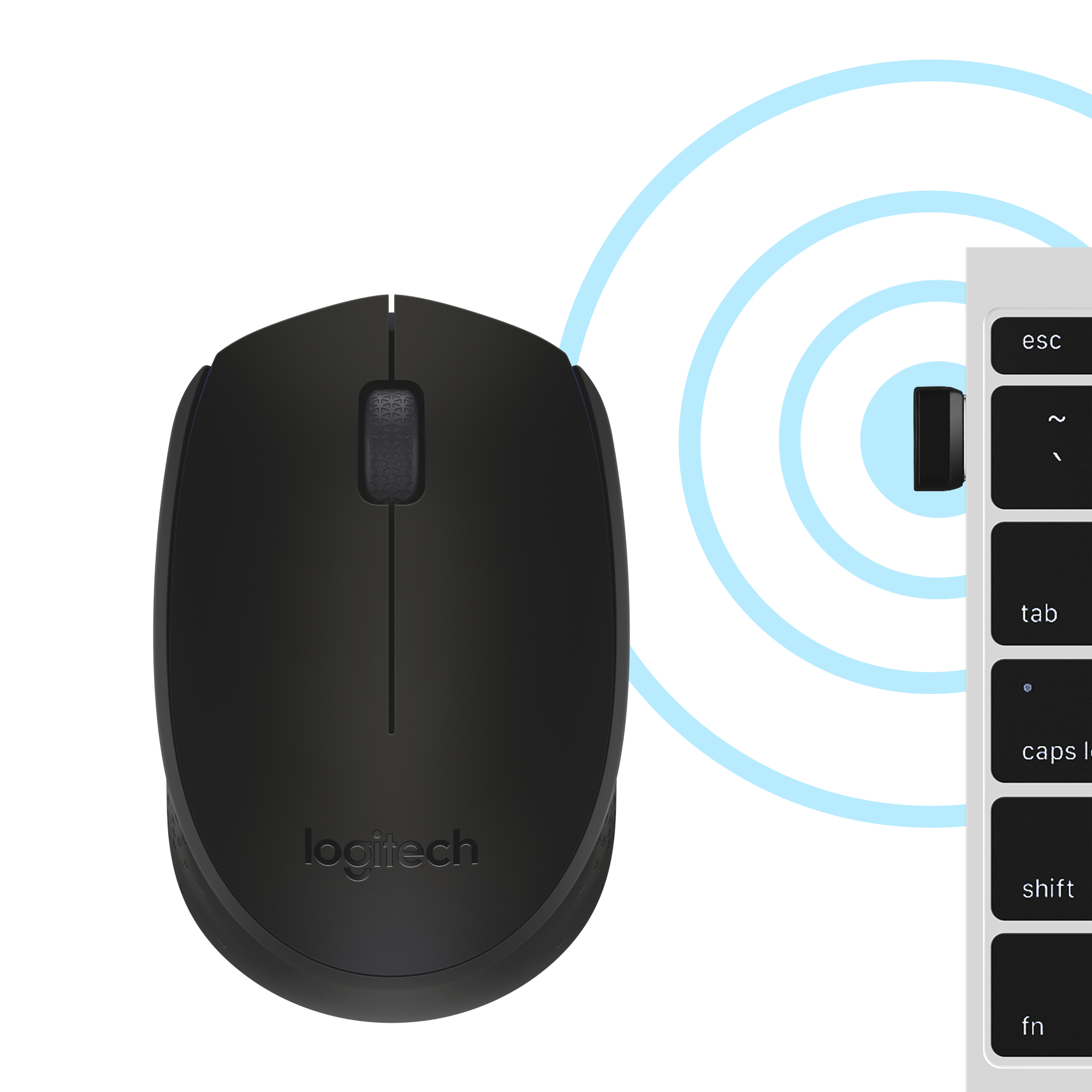 Logitech B170 - Maus - optisch - 3 Tasten - kabellos - 2.4 GHz - kabelloser Empfänger (USB)