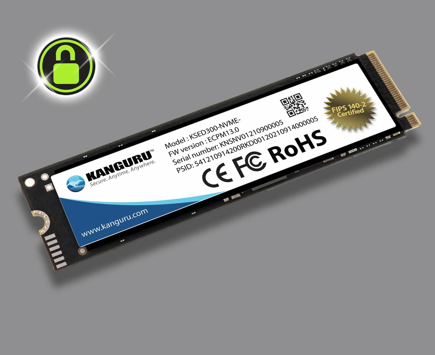 Kanguru Solutions Kanguru Defender - SSD - verschlüsselt - 1 TB - intern - M.2 2280 - PCIe 3.0 x4 (N