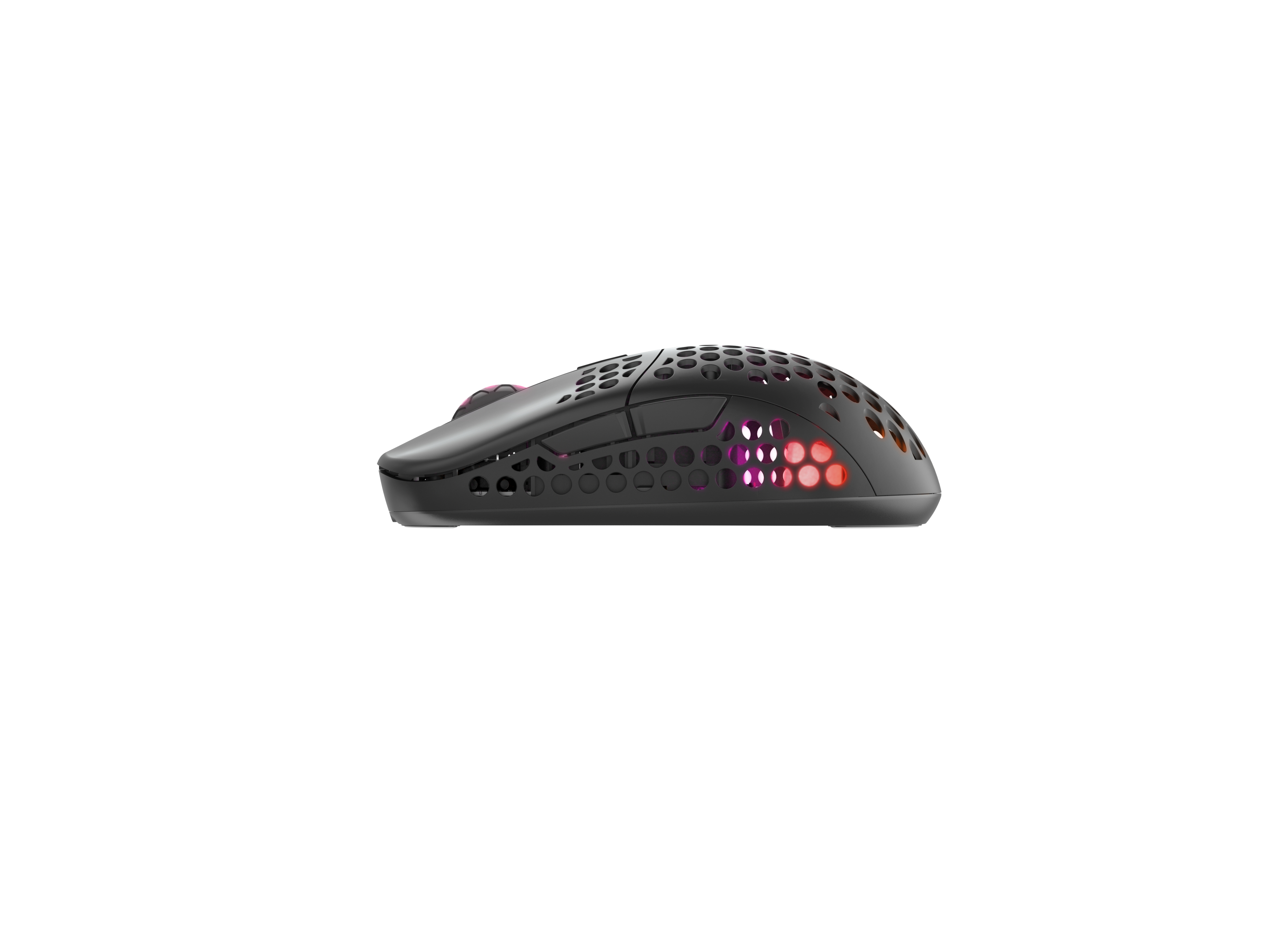 Cherry Xtrfy M42 - Maus - optisch - kabellos - 2.4 GHz - kabelloser Empfänger (USB)
