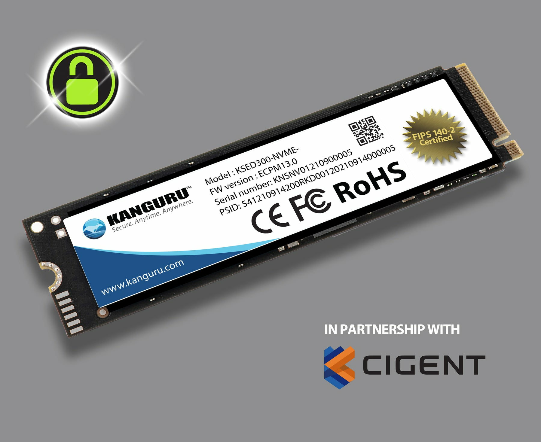 Kanguru Solutions Kanguru Defender - SSD - verschlüsselt - 2 TB - intern - M.2 2280 - PCIe 3.0 x4 (N