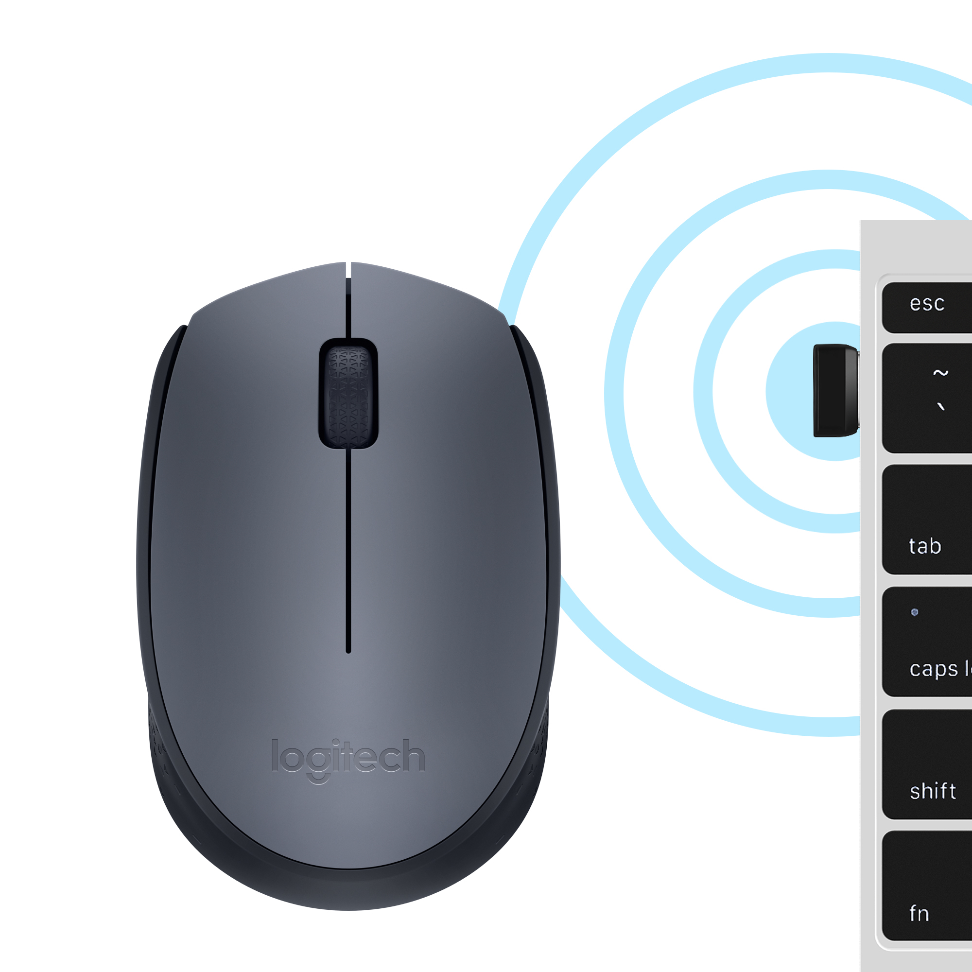 Logitech M170 - Maus - kabellos - 2.4 GHz - kabelloser Empfänger (USB)