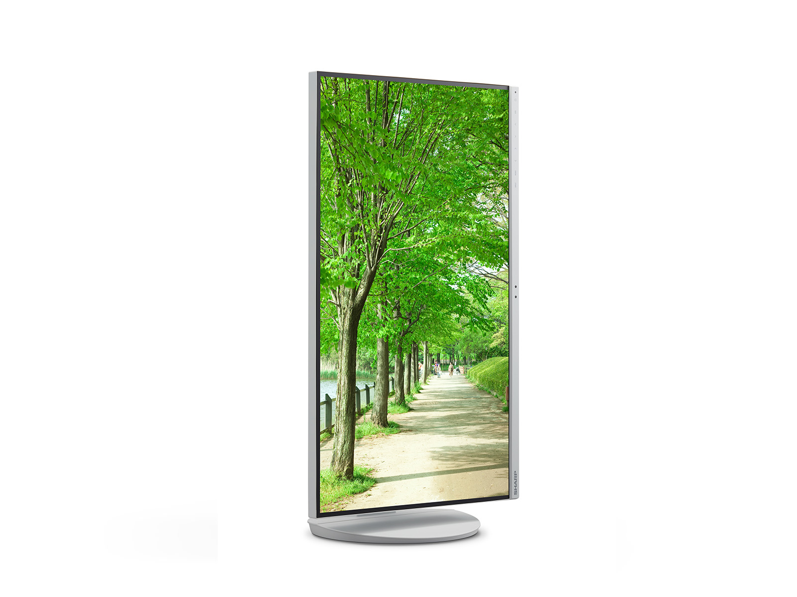 Sharp MultiSync EA272Q - LED-Monitor - 68 cm (27")