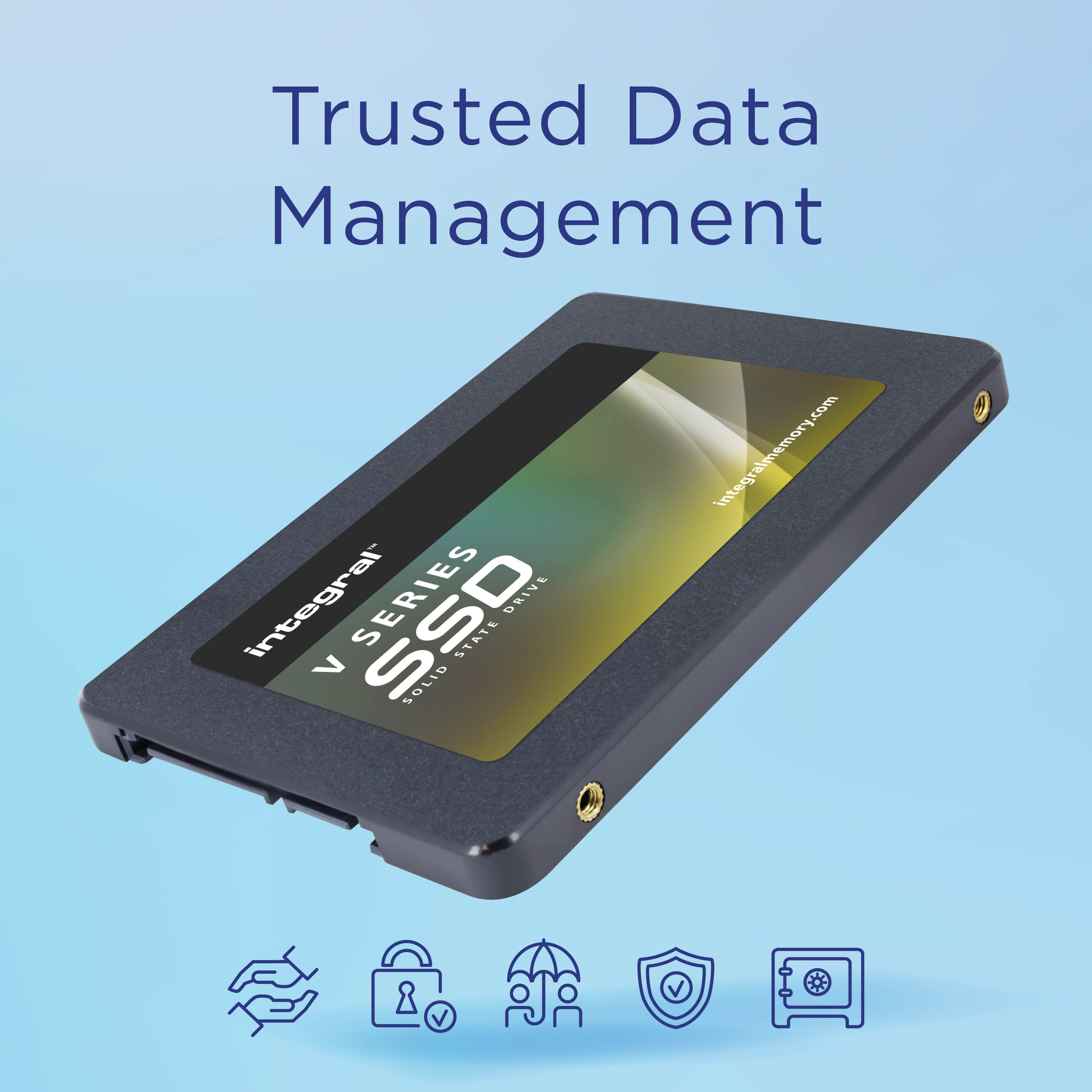 Integral V Series Version 2 - SSD - 250 GB - intern - 2.5" (6.4 cm)
