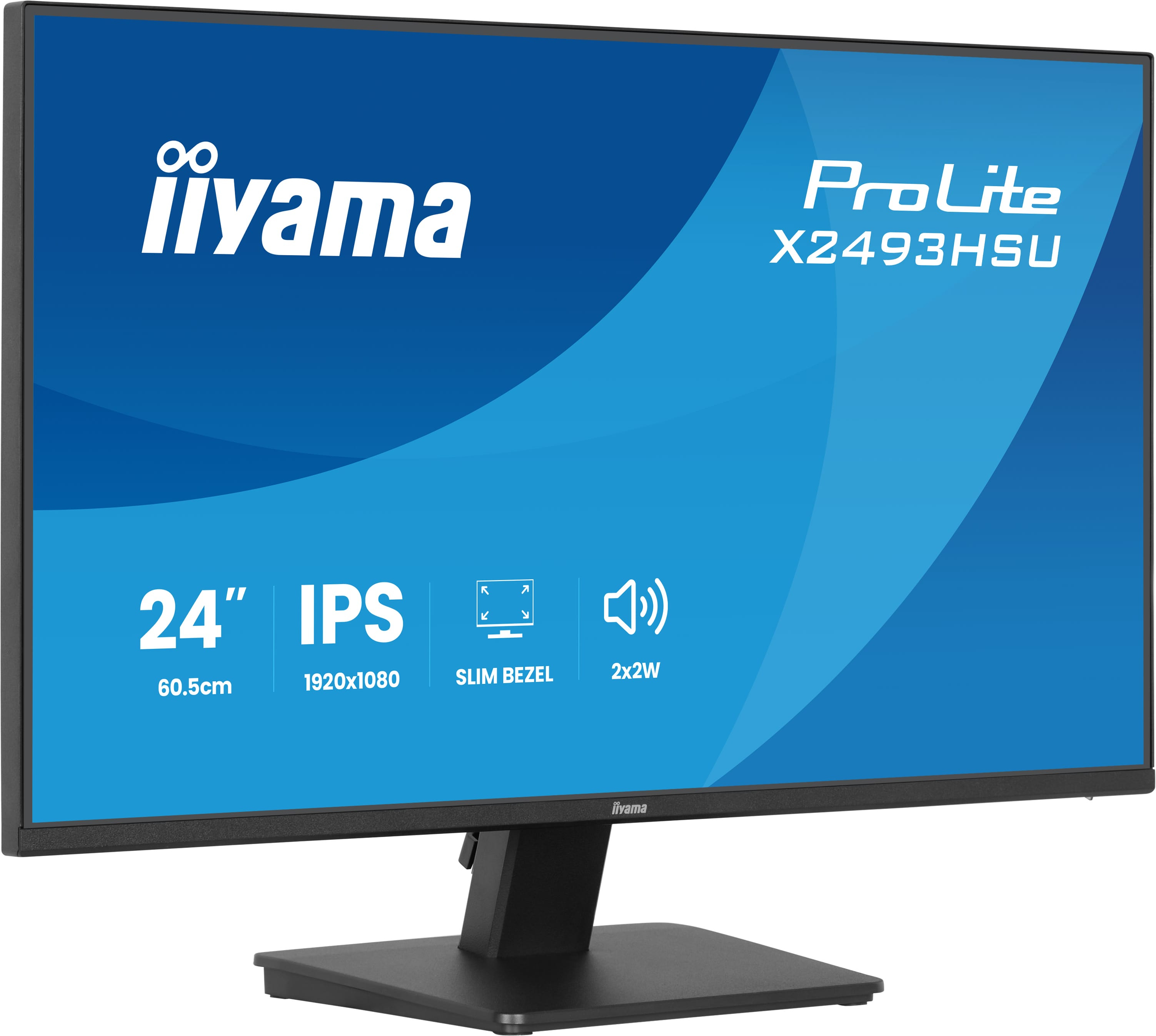 Iiyama ProLite X2493HSU-B1 - LED-Monitor - 61 cm (24")