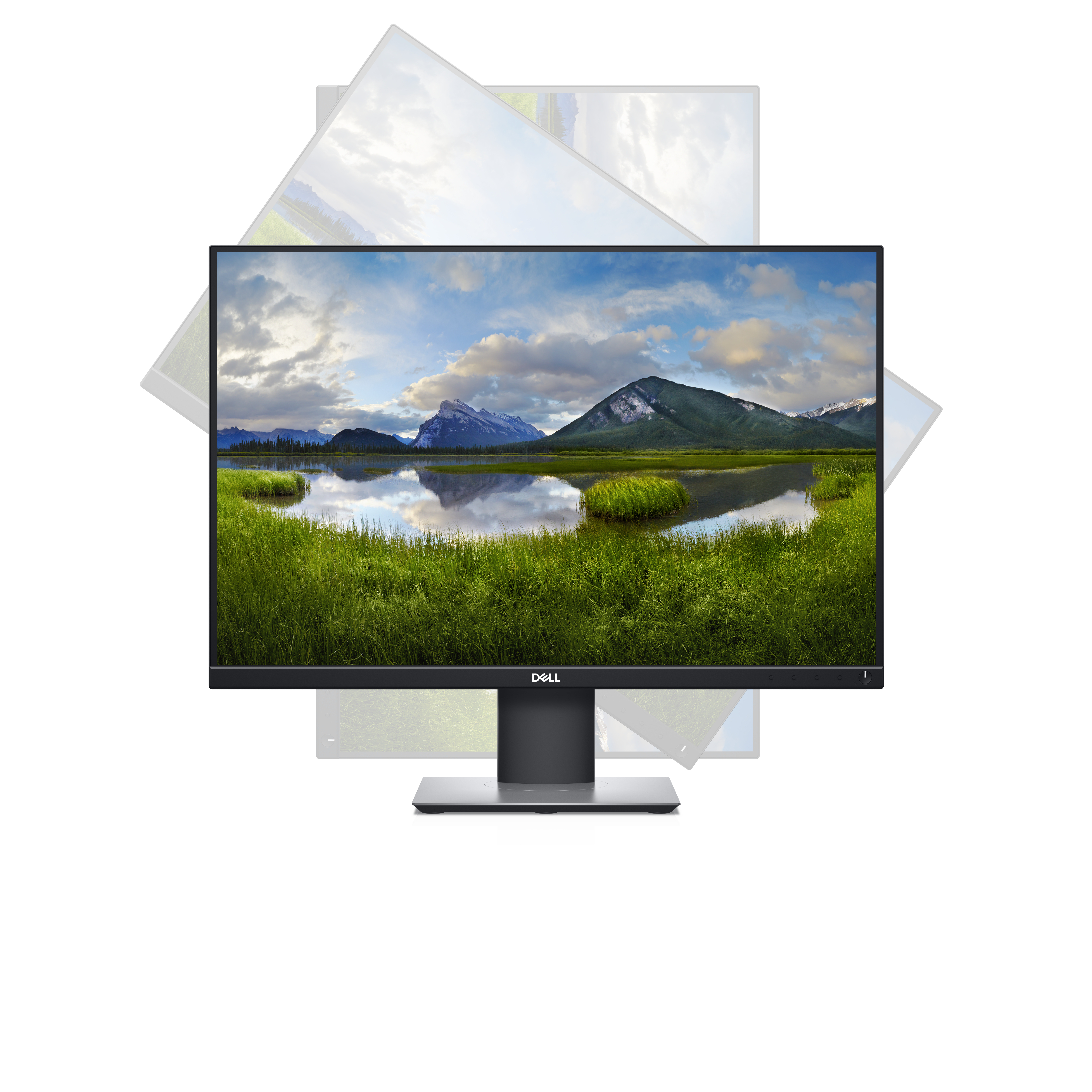 Dell P2421 - LED-Monitor - 61.13 cm (24.1") - 1920 x 1200 WUXGA @ 60 Hz - IPS