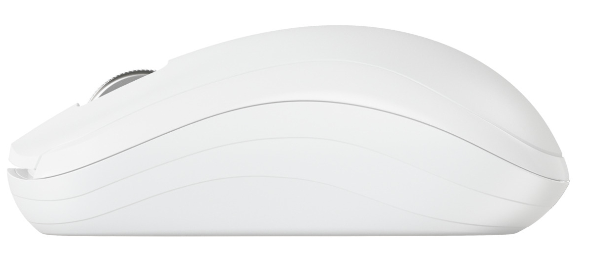 Cherry MW 2200 - Maus - ergonomisch - rechts- und linkshändig - optisch - 3 Tasten - kabellos - 2.4