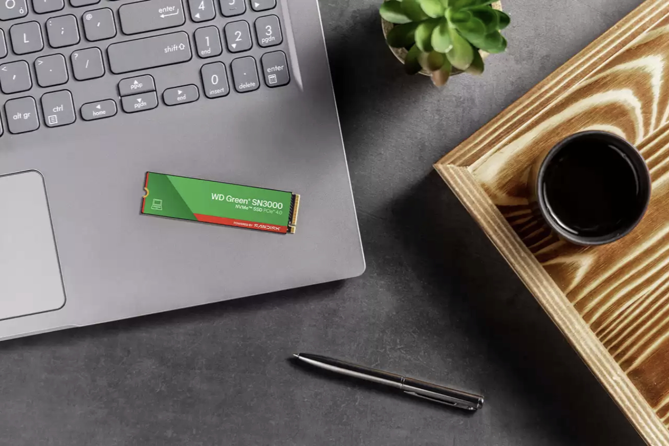 SanDisk WD Green SN3000 - SSD - 500 GB - intern - M.2 2280 S3-M (M.2 2280 S3-M)