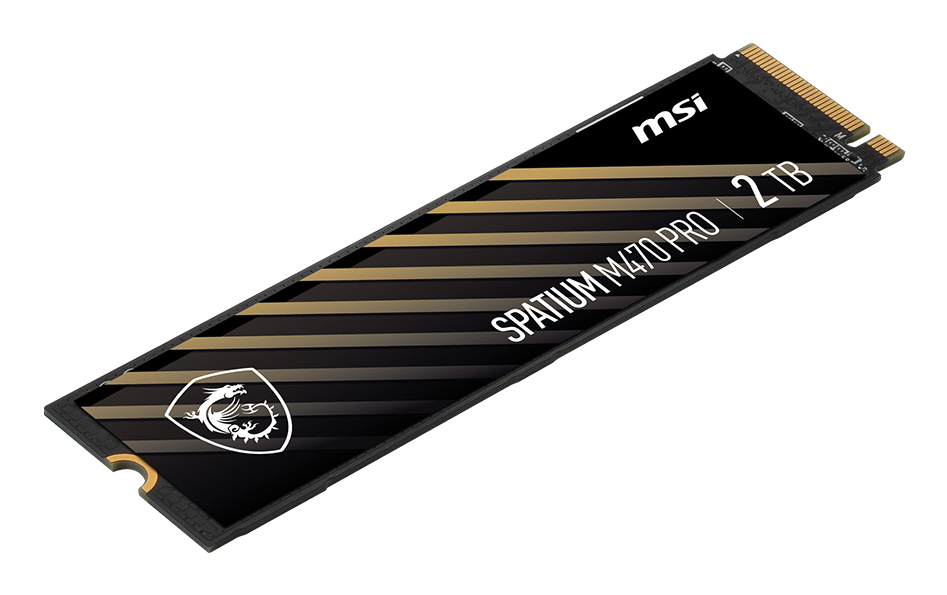 MSI SPATIUM M470 PRO PCIe 4.0 NVMe M.2, 2 TB, M.2