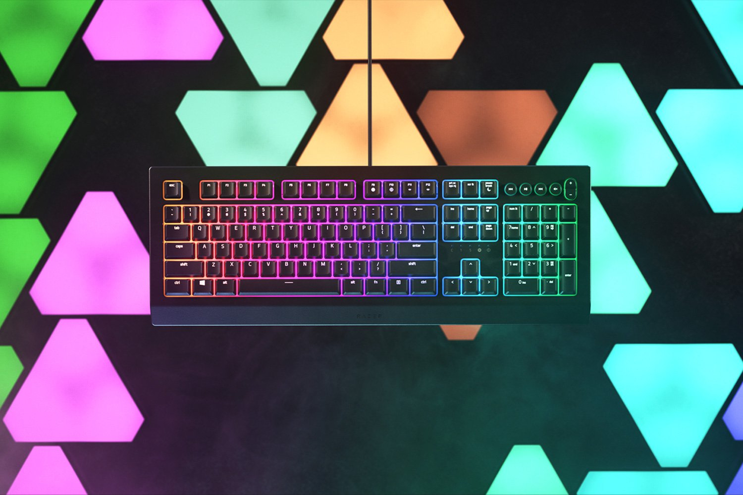 Razer Cynosa V2 - Tastatur - Hintergrundbeleuchtung
