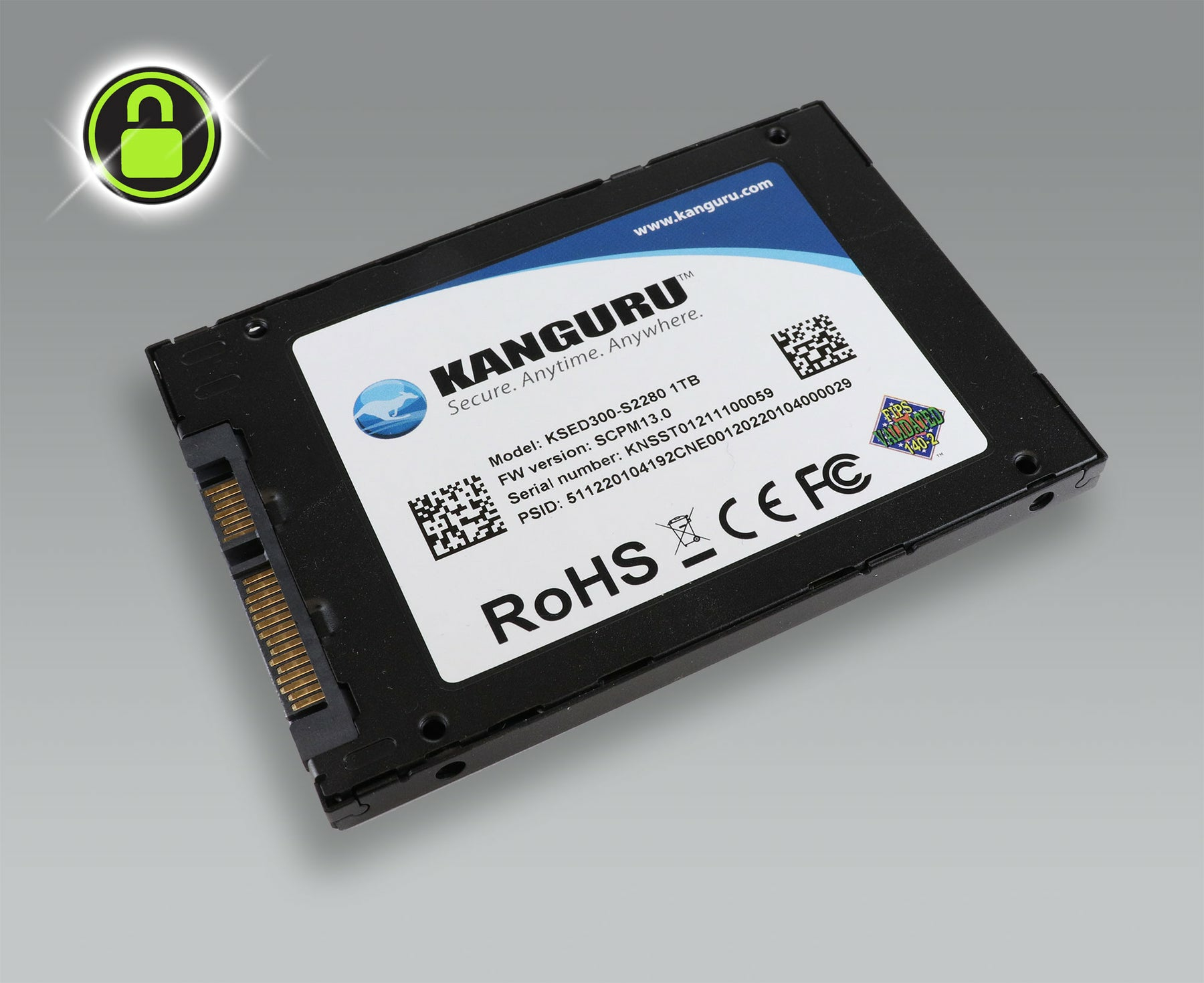 Kanguru Solutions Kanguru Defender - SSD - verschlüsselt - 1 TB - intern - 2.5" (6.4 cm)