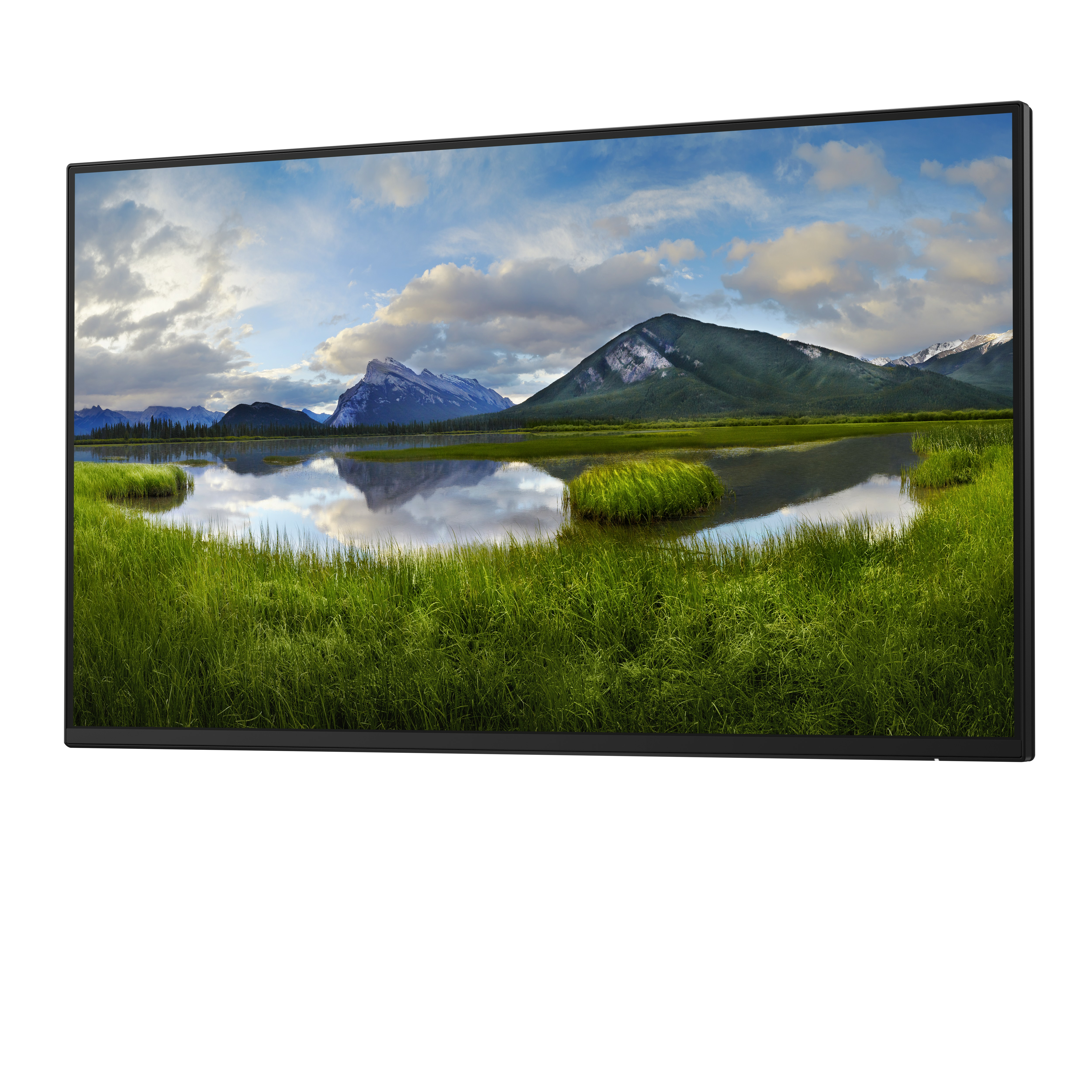 Dell P2425HE - Ohne Standfuß - LED-Monitor - 61 cm (24")