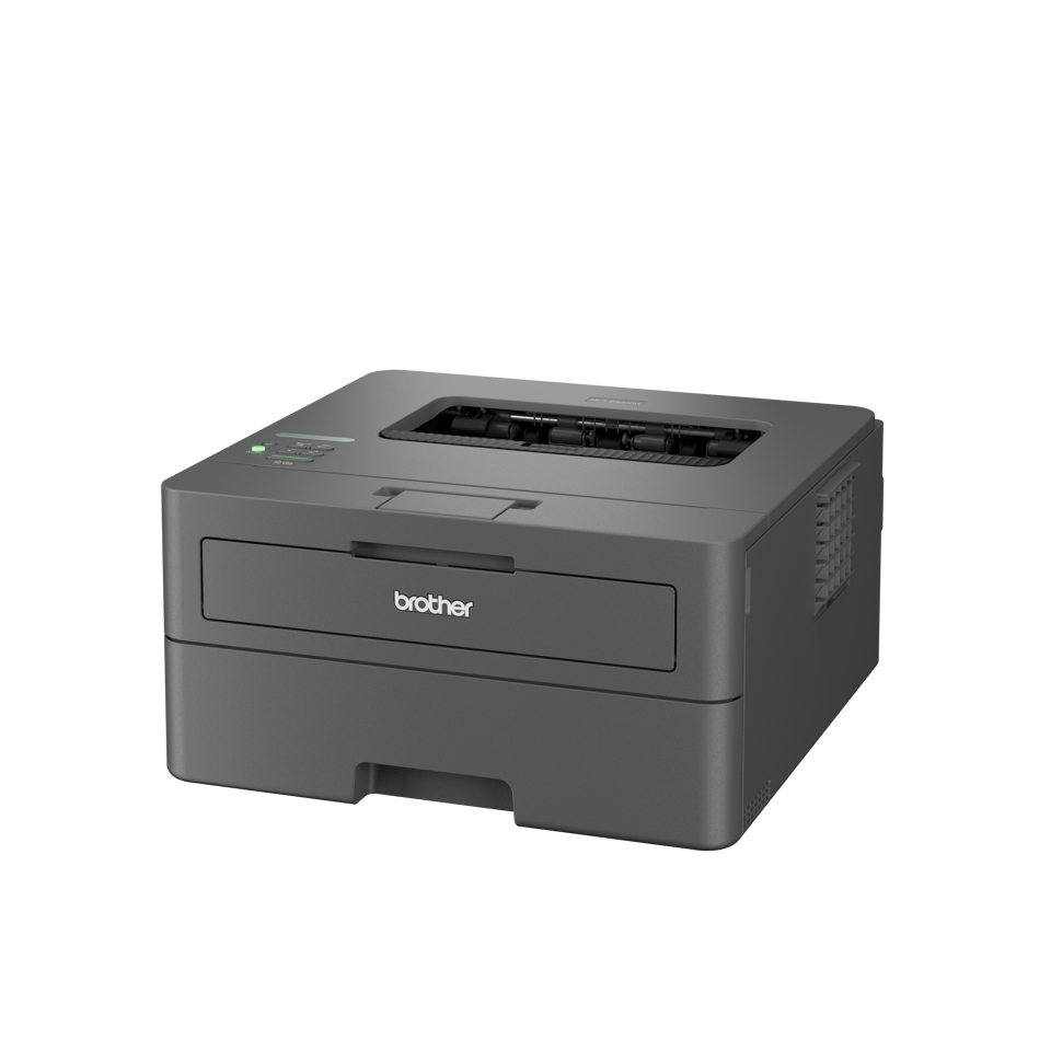 Brother HL-L2400DWE - Drucker - s/w - Duplex