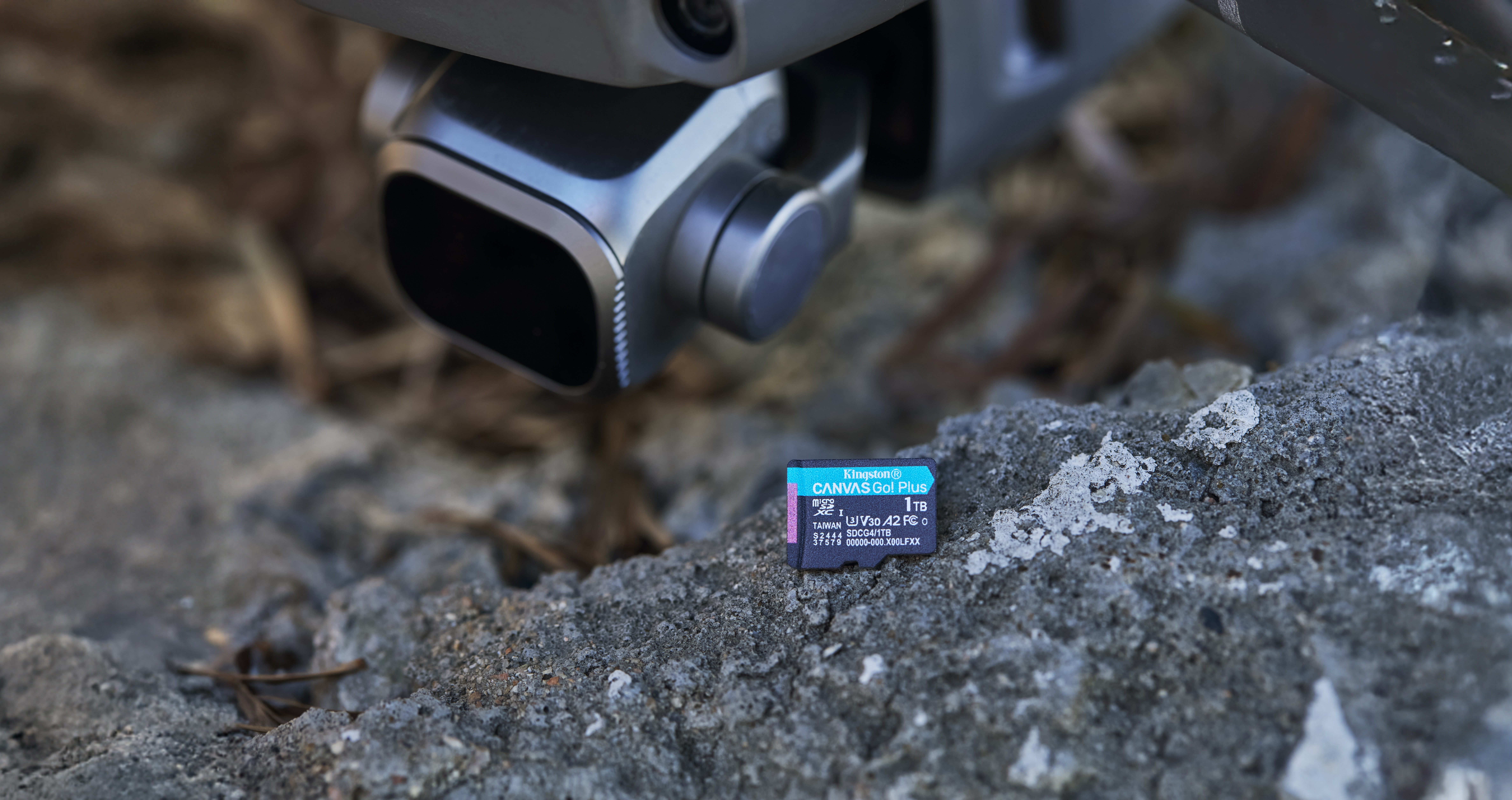 Kingston Canvas Go! Plus - Flash-Speicherkarte