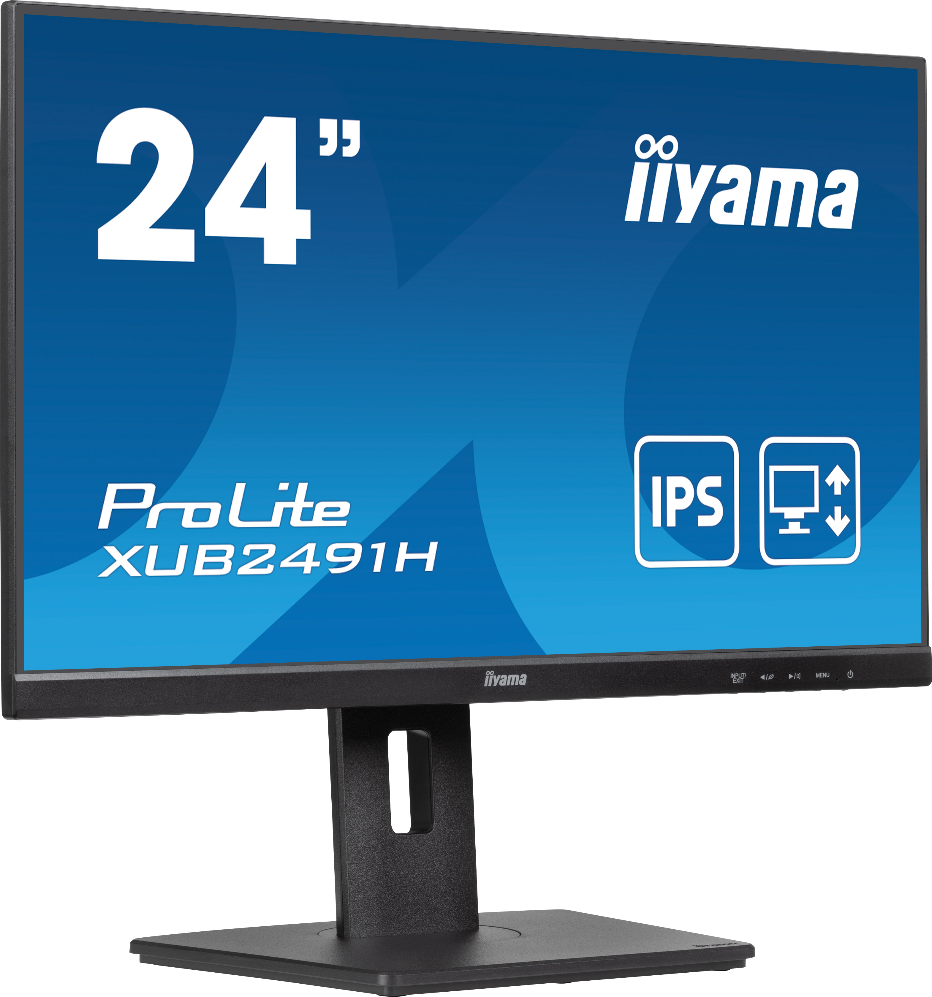 Iiyama ProLite XUB2491H-B1 - LED-Monitor - 61 cm (24")