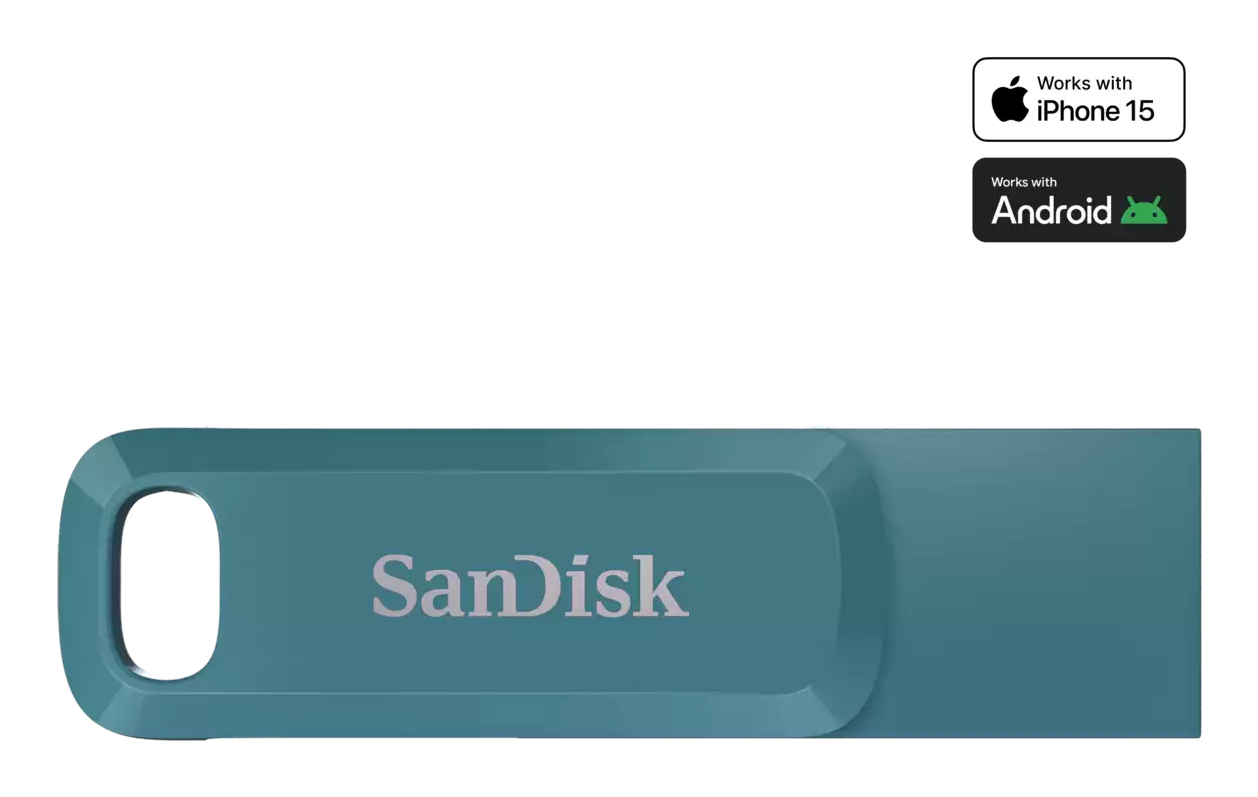 SanDisk Ultra Dual Drive Go - USB-Flash-Laufwerk