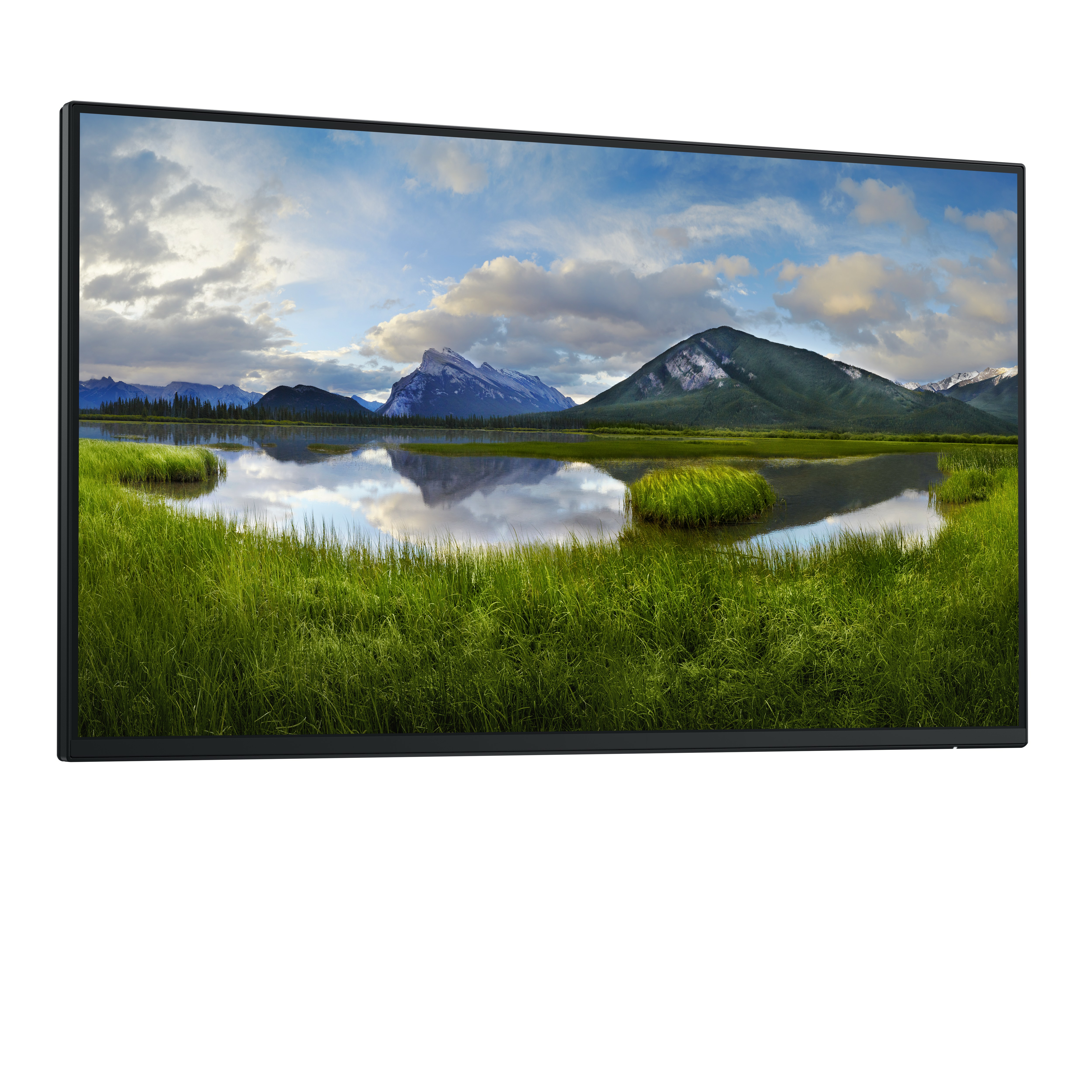 Dell P2425HE - Ohne Standfuß - LED-Monitor - 61 cm (24")