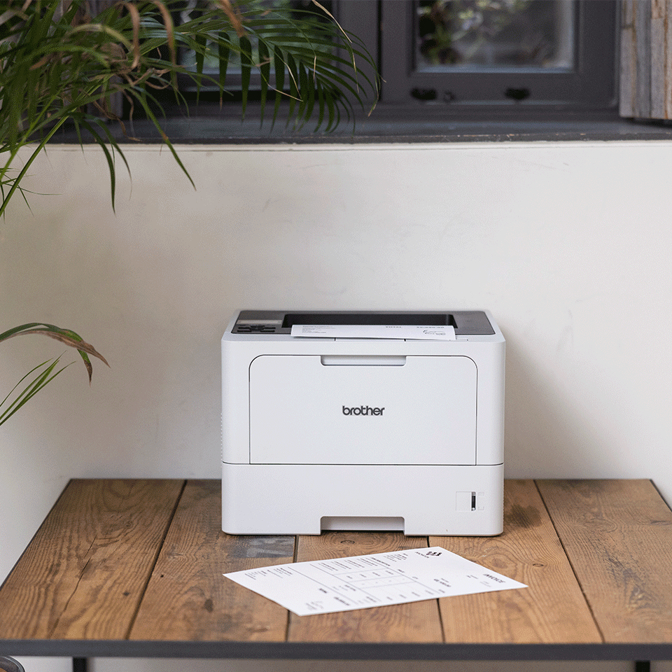 Brother HL-L5210DN, Laser, 1200 x 1200 DPI, A4, 48 Seiten pro Minute, Doppelseitiger Druck, Schwarz,