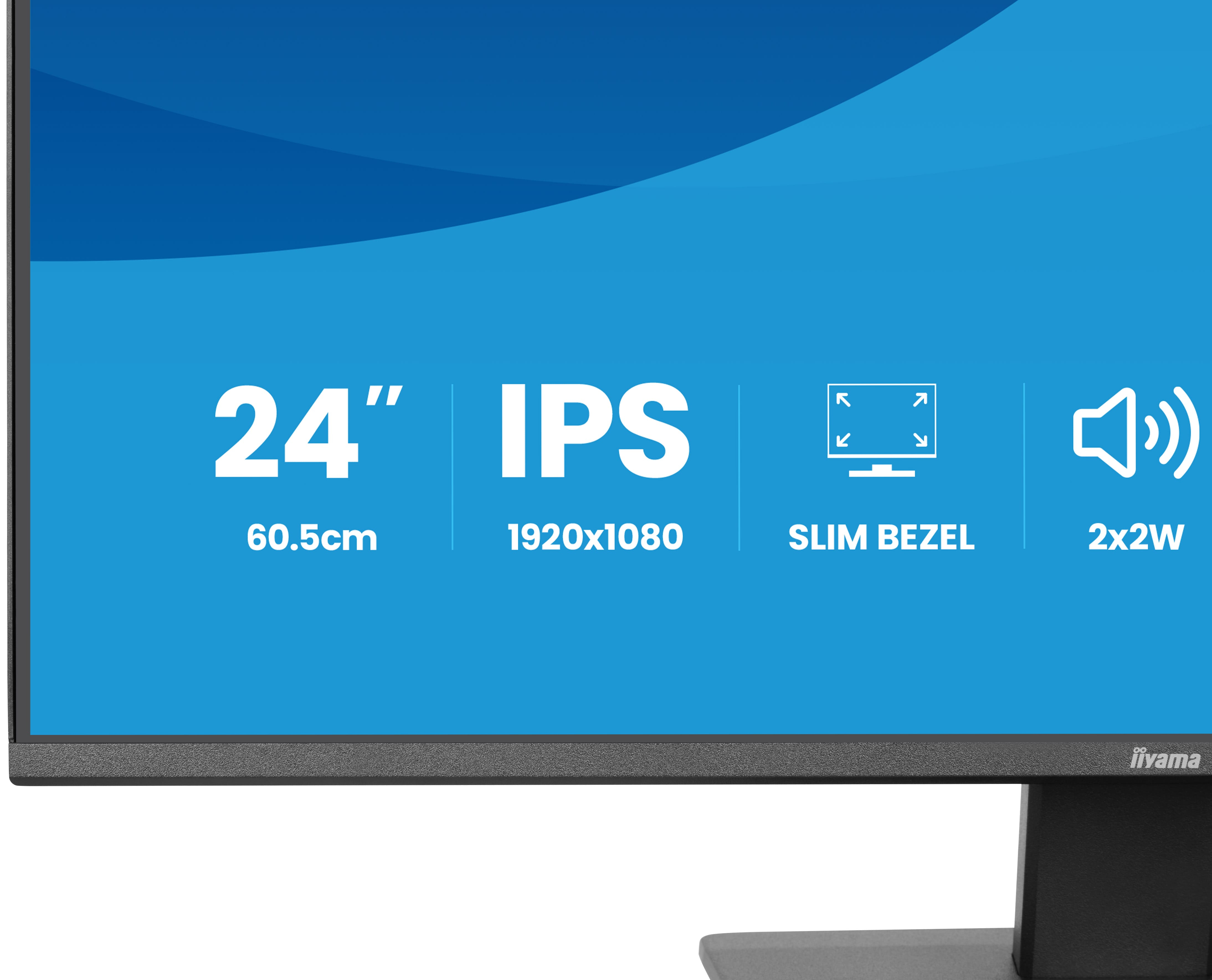 Iiyama ProLite X2493HSU-B1 - LED-Monitor - 61 cm (24")