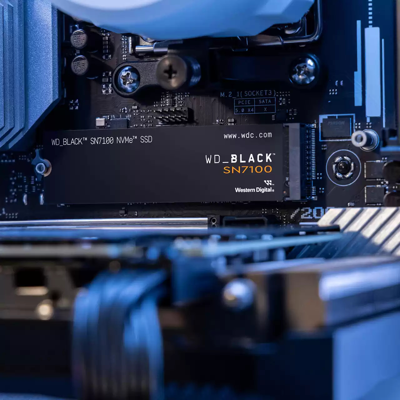 WD_BLACK SN7100 WDS500G4X0E - SSD - 500 GB - intern - M.2 2280 - PCIe 4.0 x4 (NVMe)