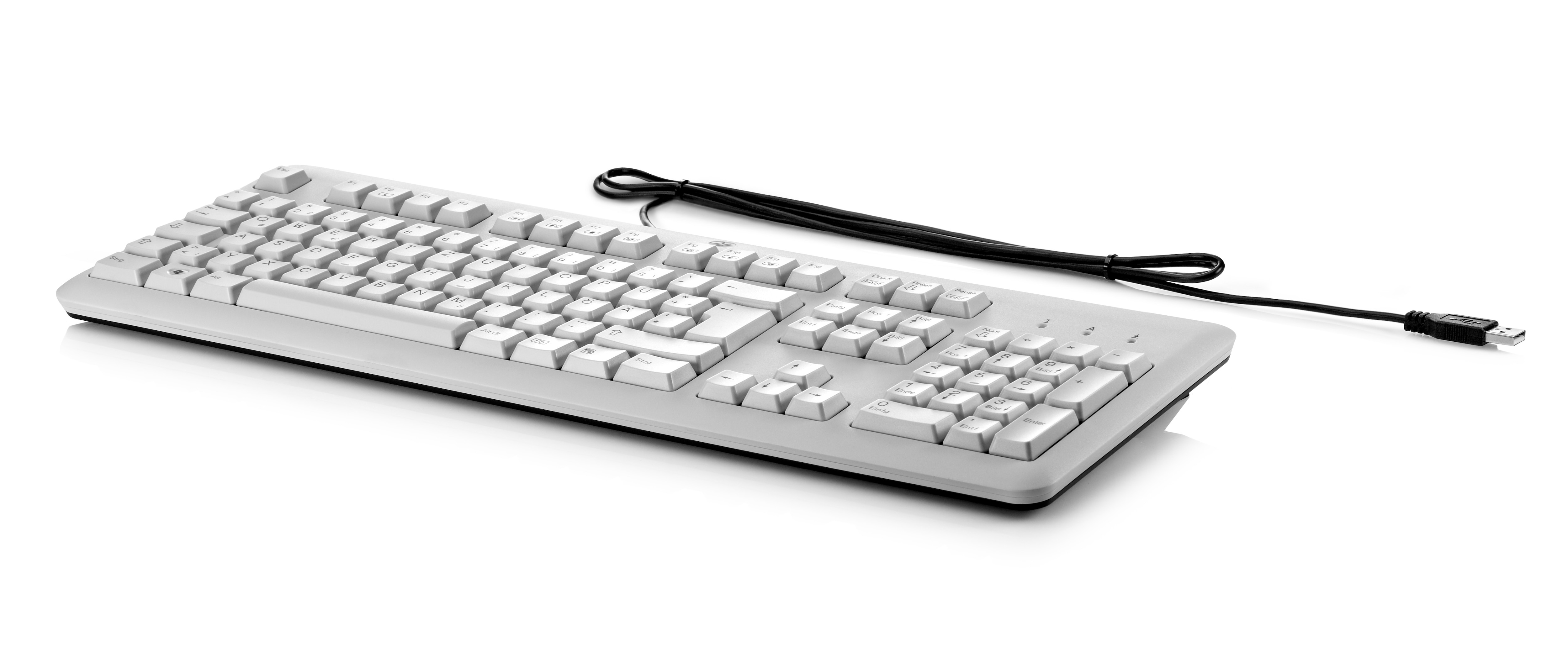 HP  Tastatur - USB - Grau