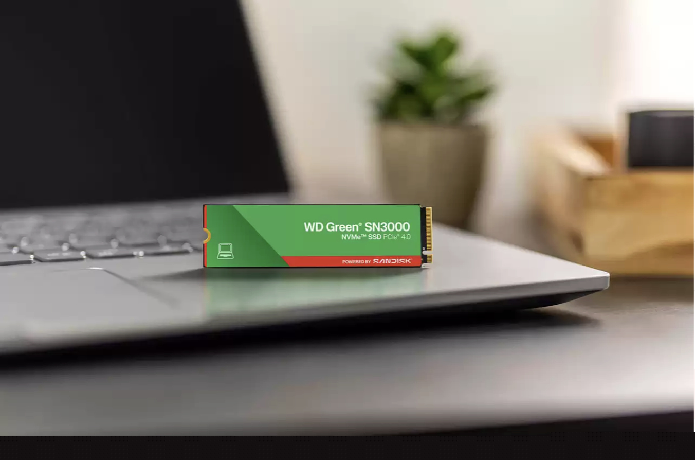 SanDisk WD Green SN3000 - SSD - 500 GB - intern - M.2 2280 S3-M (M.2 2280 S3-M)