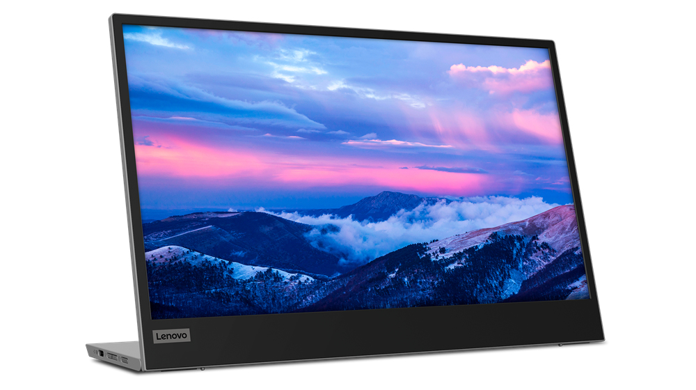 Lenovo L152 - LED-Monitor - 40.6 cm (16") (15.6" sichtbar)