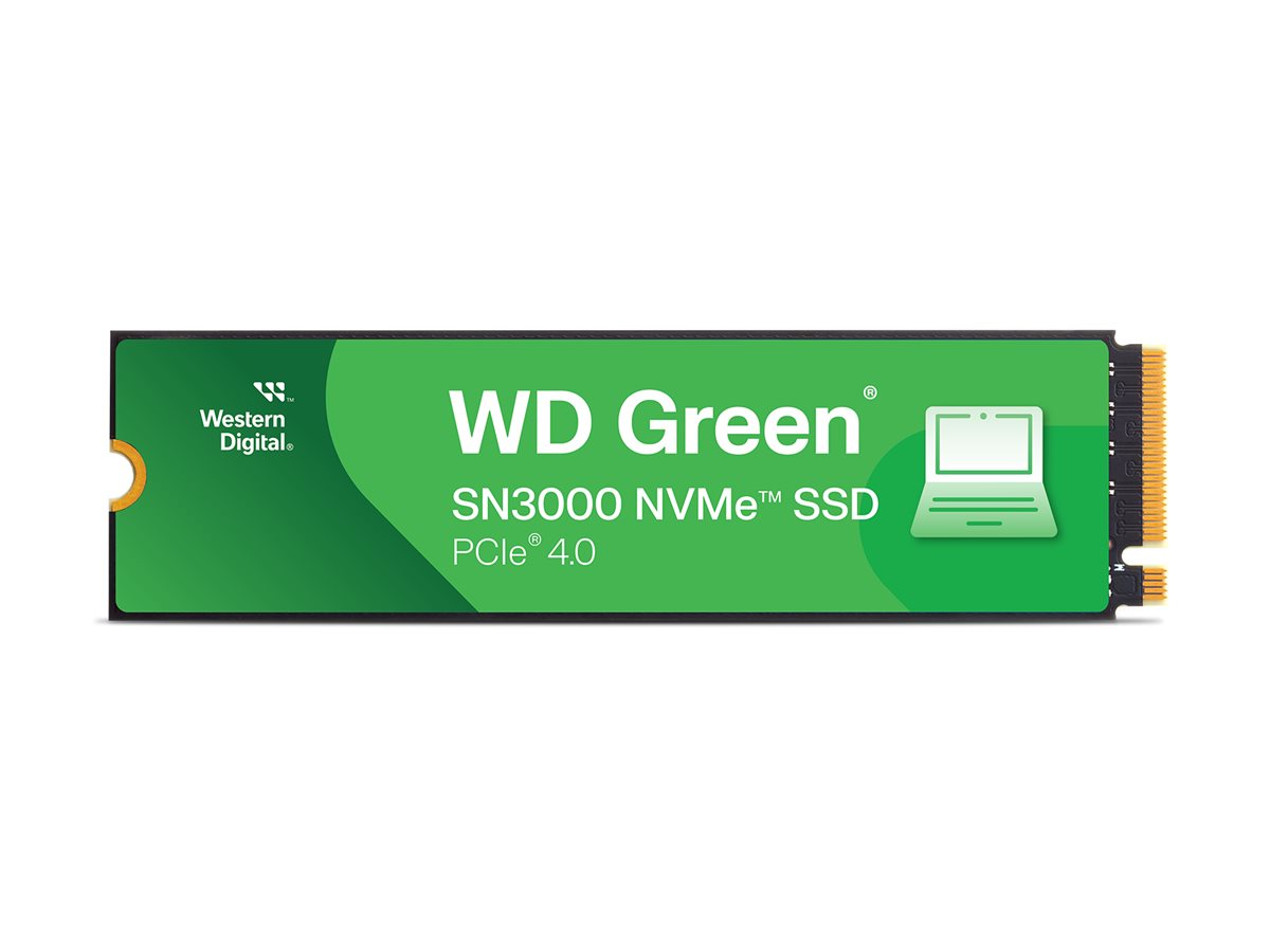WD WDS100T4G0E-00CPS0SSD WD Green Sn3000 SSD