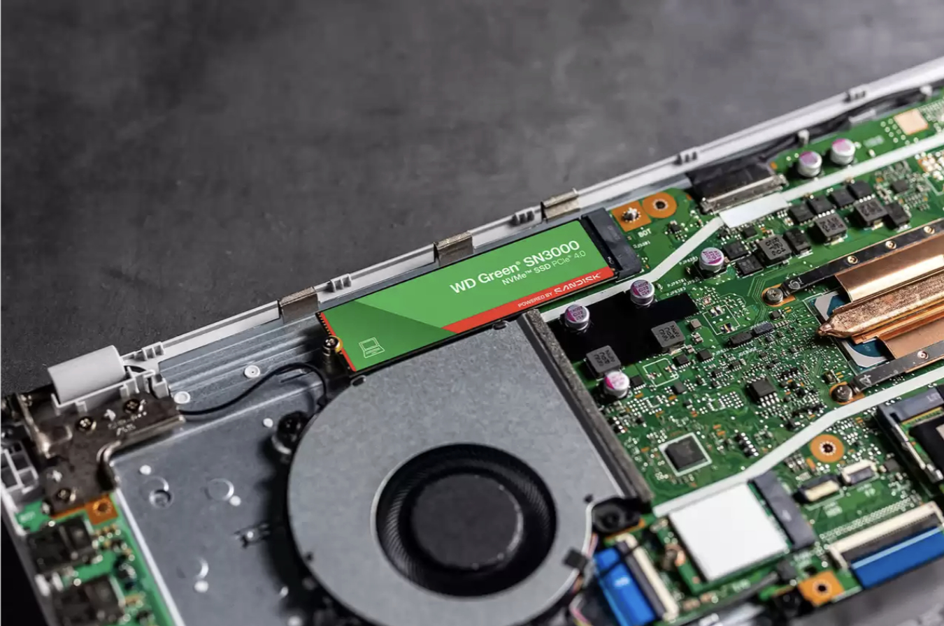 SanDisk WD Green SN3000 - SSD - 500 GB - intern - M.2 2280 S3-M (M.2 2280 S3-M)