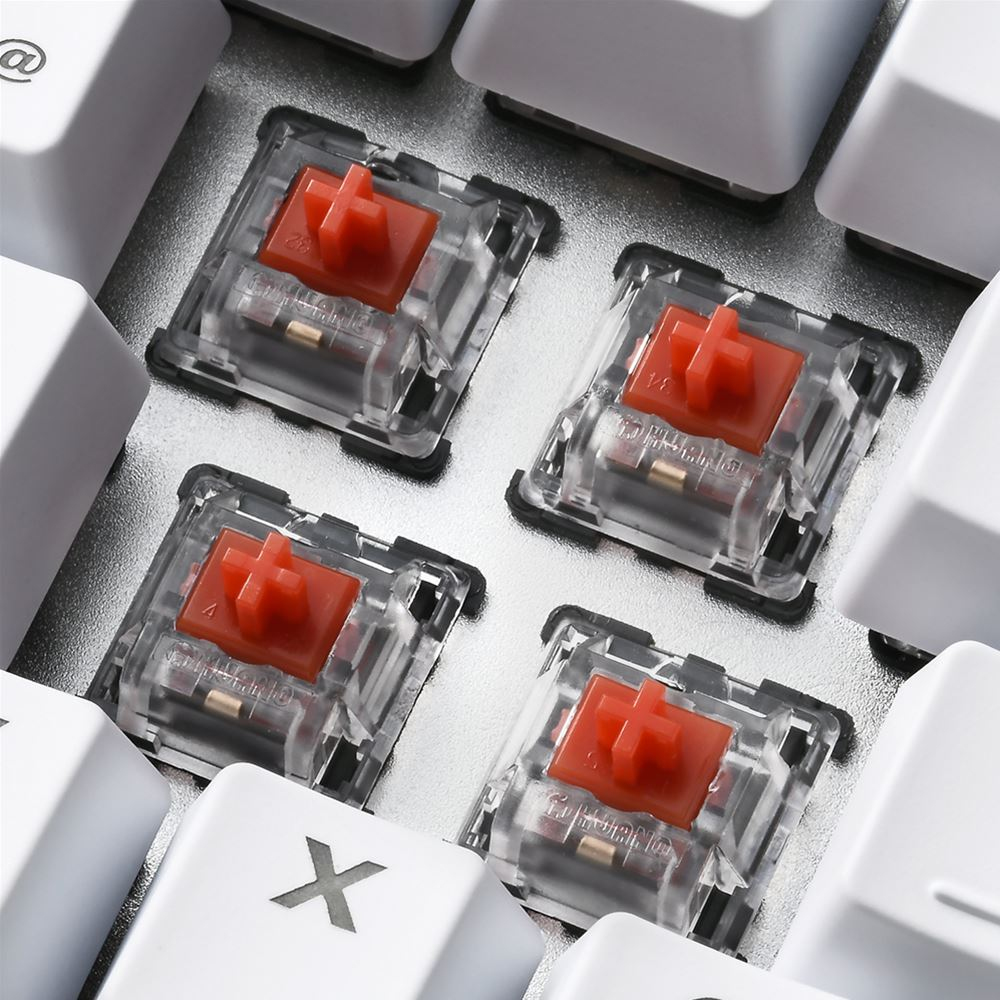 Sharkoon Skiller SGK40 - Tastatur - Hintergrundbeleuchtung