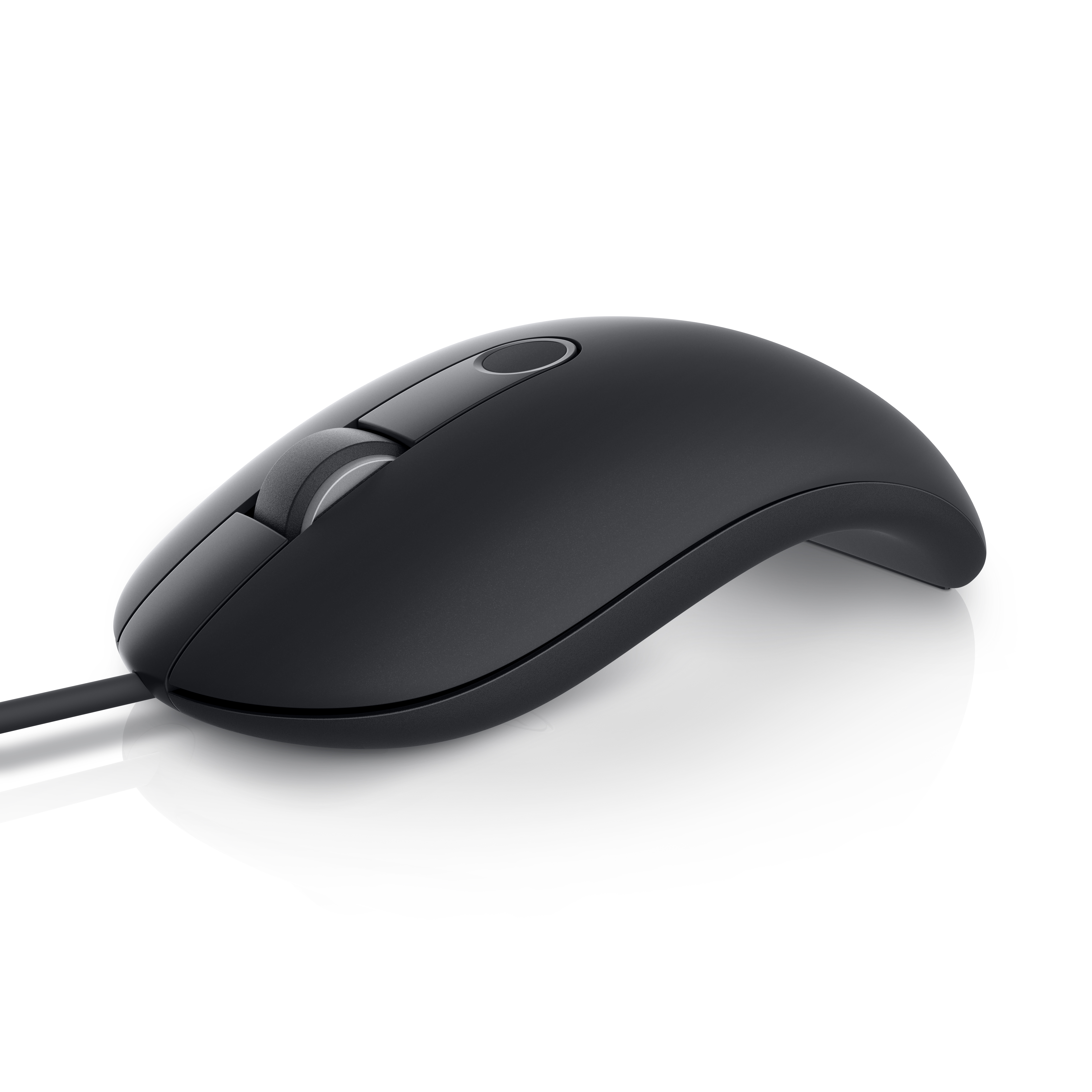 Dell MS819, Beidhändig, Optisch, USB Typ-A, 1000 DPI, Schwarz