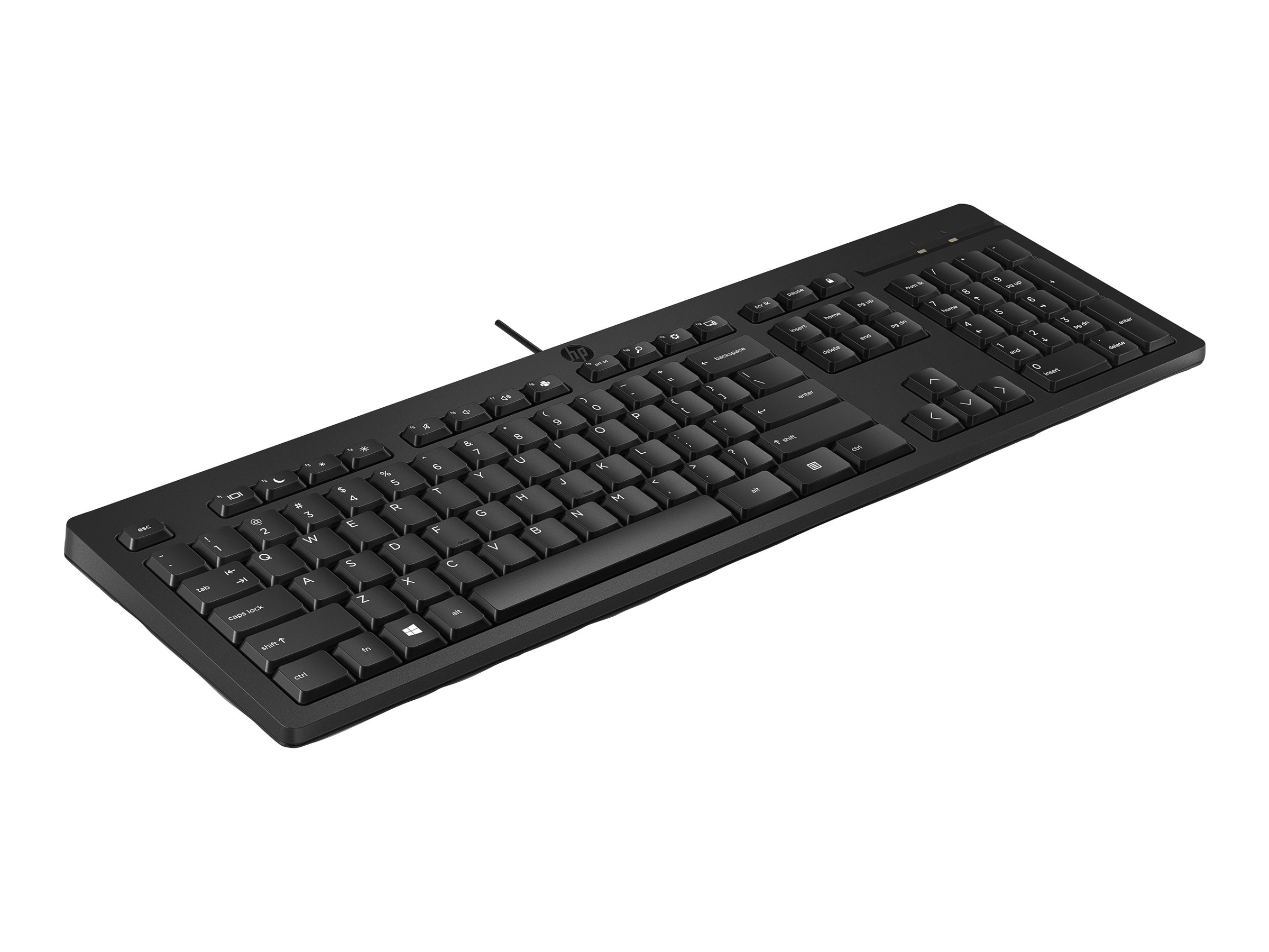 HP 125 - Tastatur - full size - USB - QWERTY - Dänisch - Schwarz (Packung mit 12)