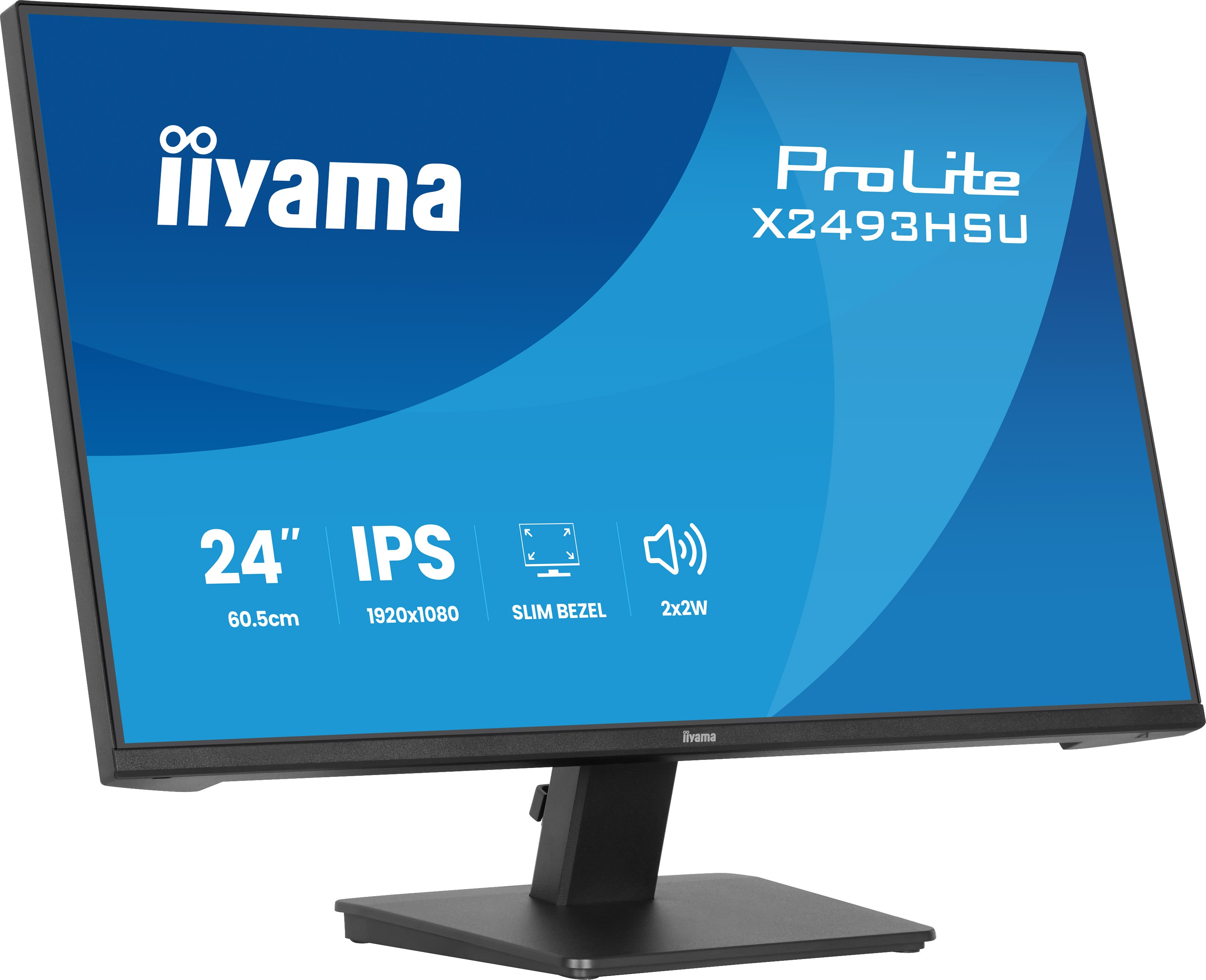 Iiyama ProLite X2493HSU-B1 - LED-Monitor - 61 cm (24")