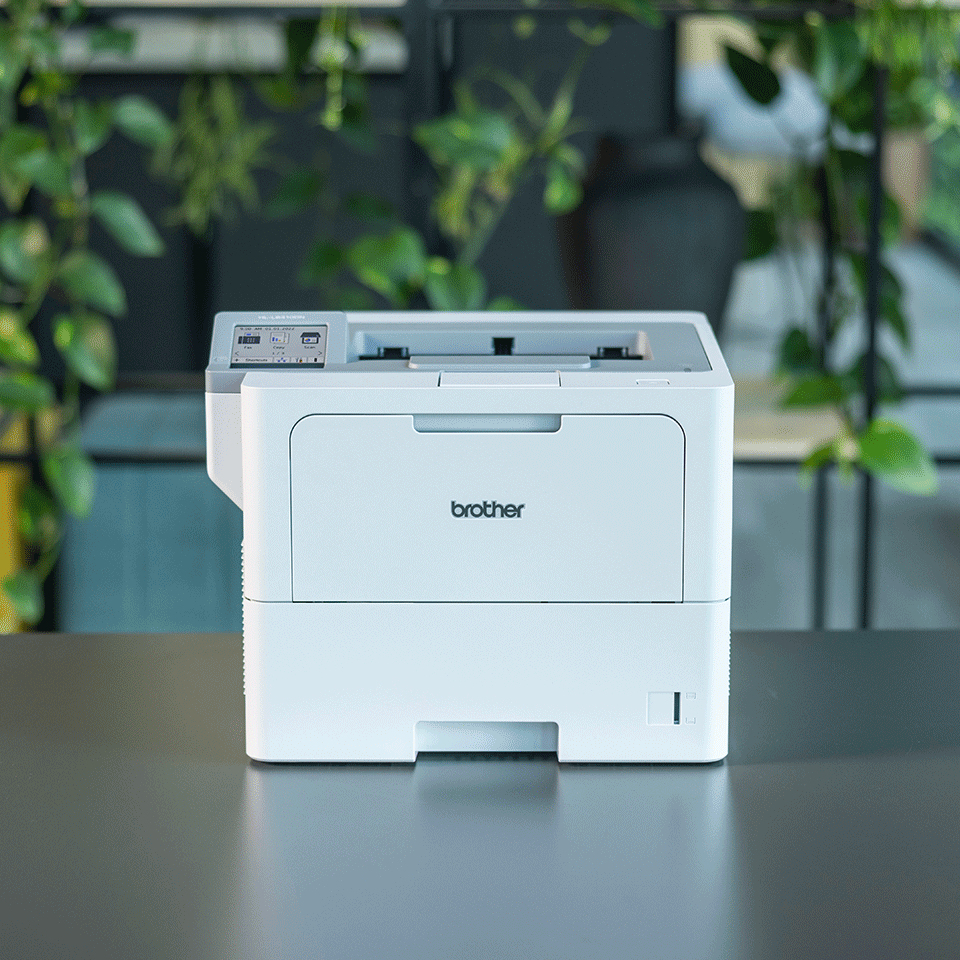 Brother HL-L6410DN - Drucker - s/w - Duplex