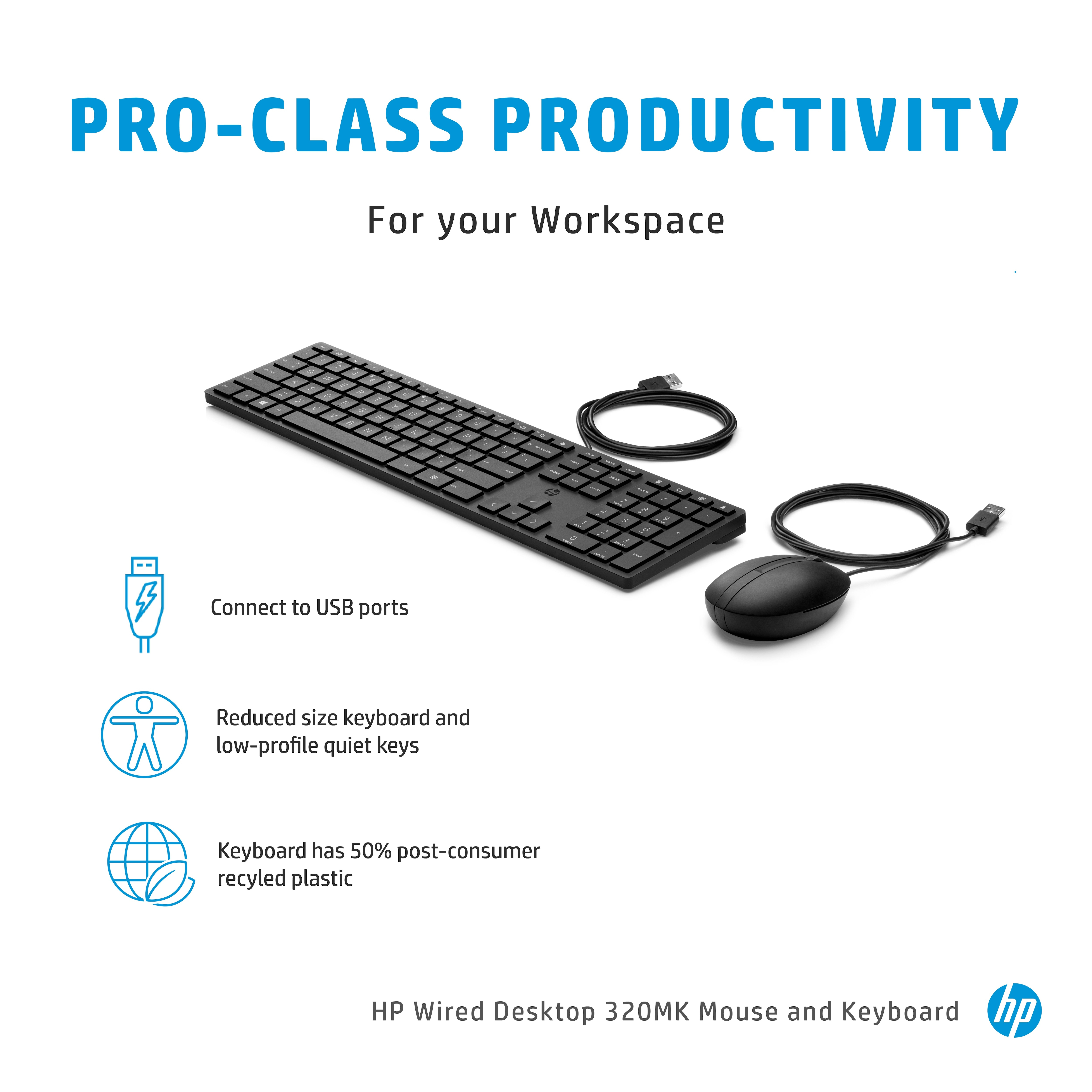 HP Wired Desktop 320MK Maus und Tastatur, Volle Größe (100%), Kabelgebunden, USB, Schwarz, Maus enth