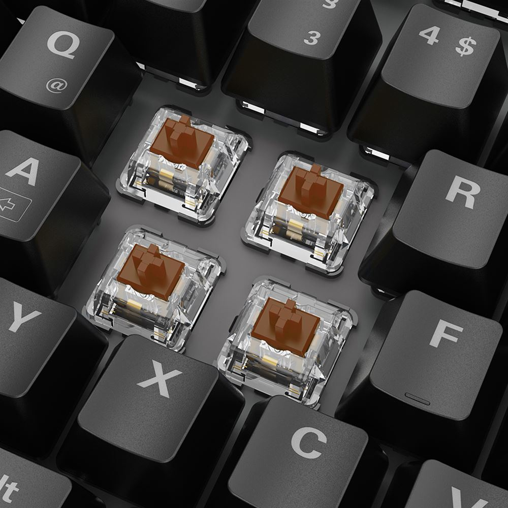 Sharkoon Skiller SGK20 - Tastatur - hintergrundbeleuchtet