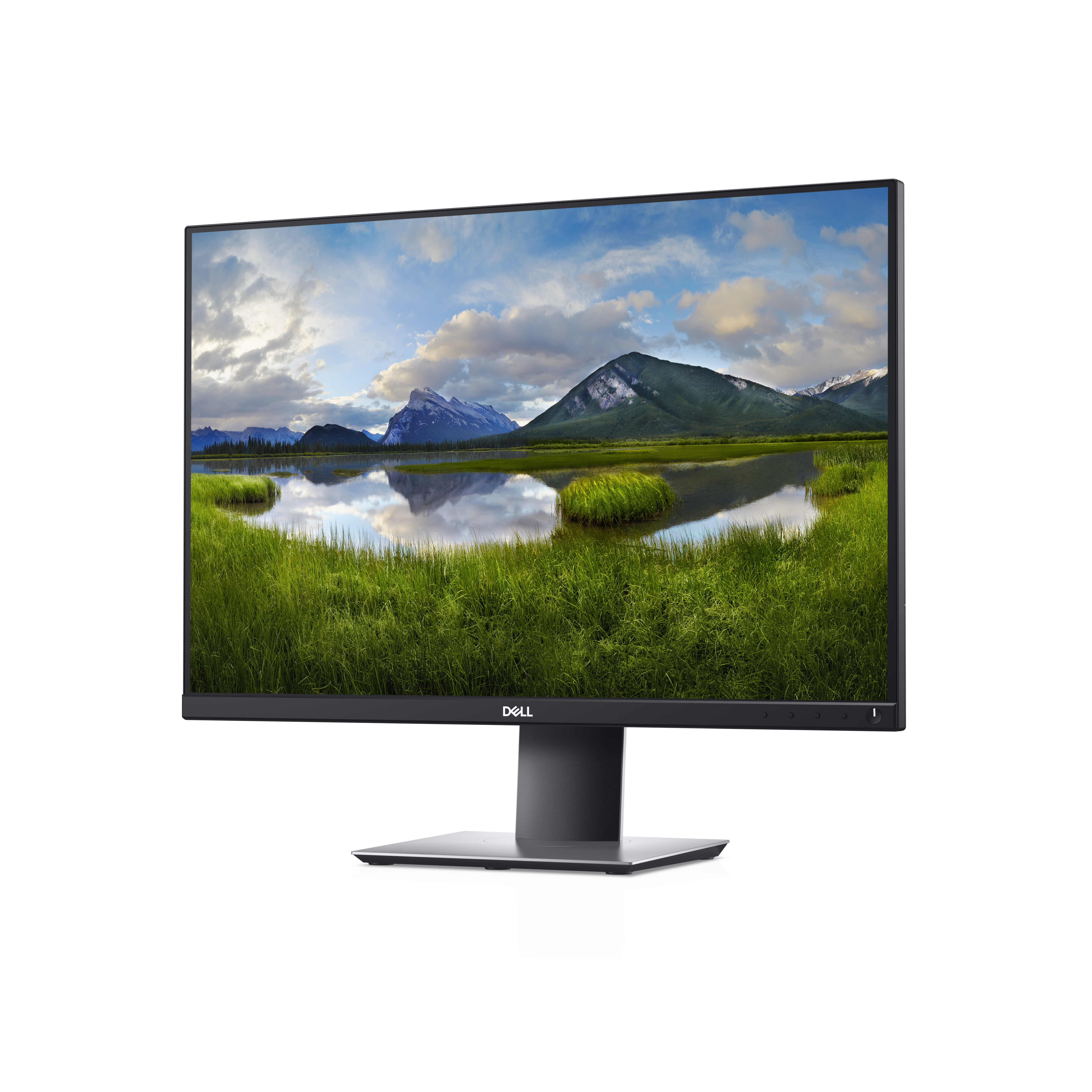 Dell P2421 - LED-Monitor - 61.13 cm (24.1") - 1920 x 1200 WUXGA @ 60 Hz - IPS