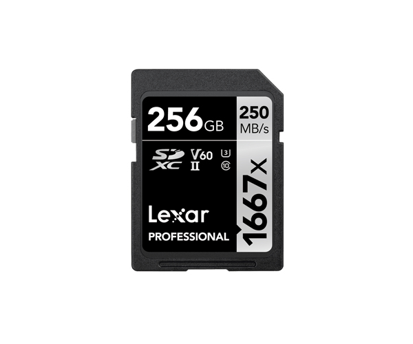 Lexar Professional - Flash-Speicherkarte - 256 GB