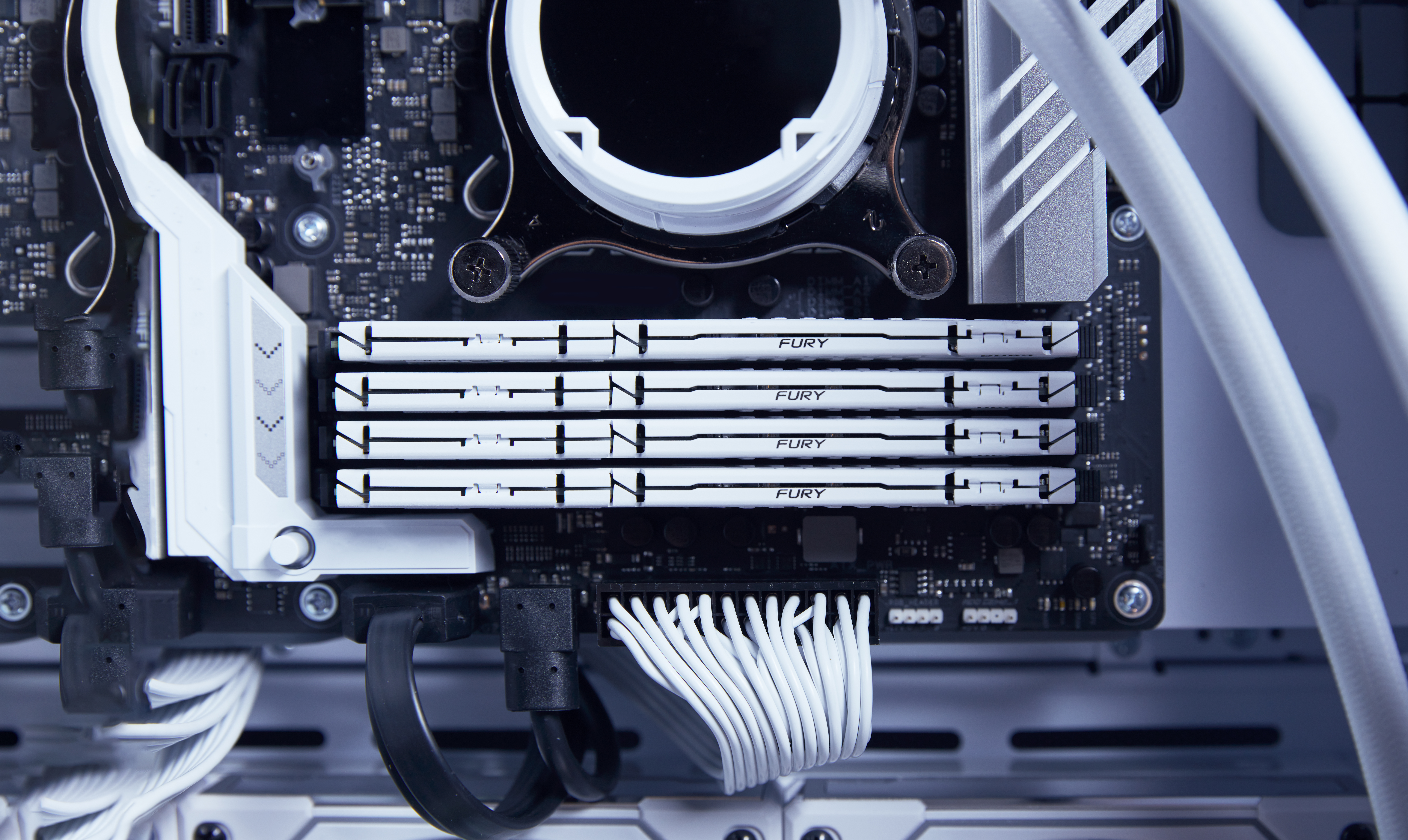Kingston FURY Beast weiß UDIMM 16GB, DDR5-5200, CL40-40-40, 1RX8