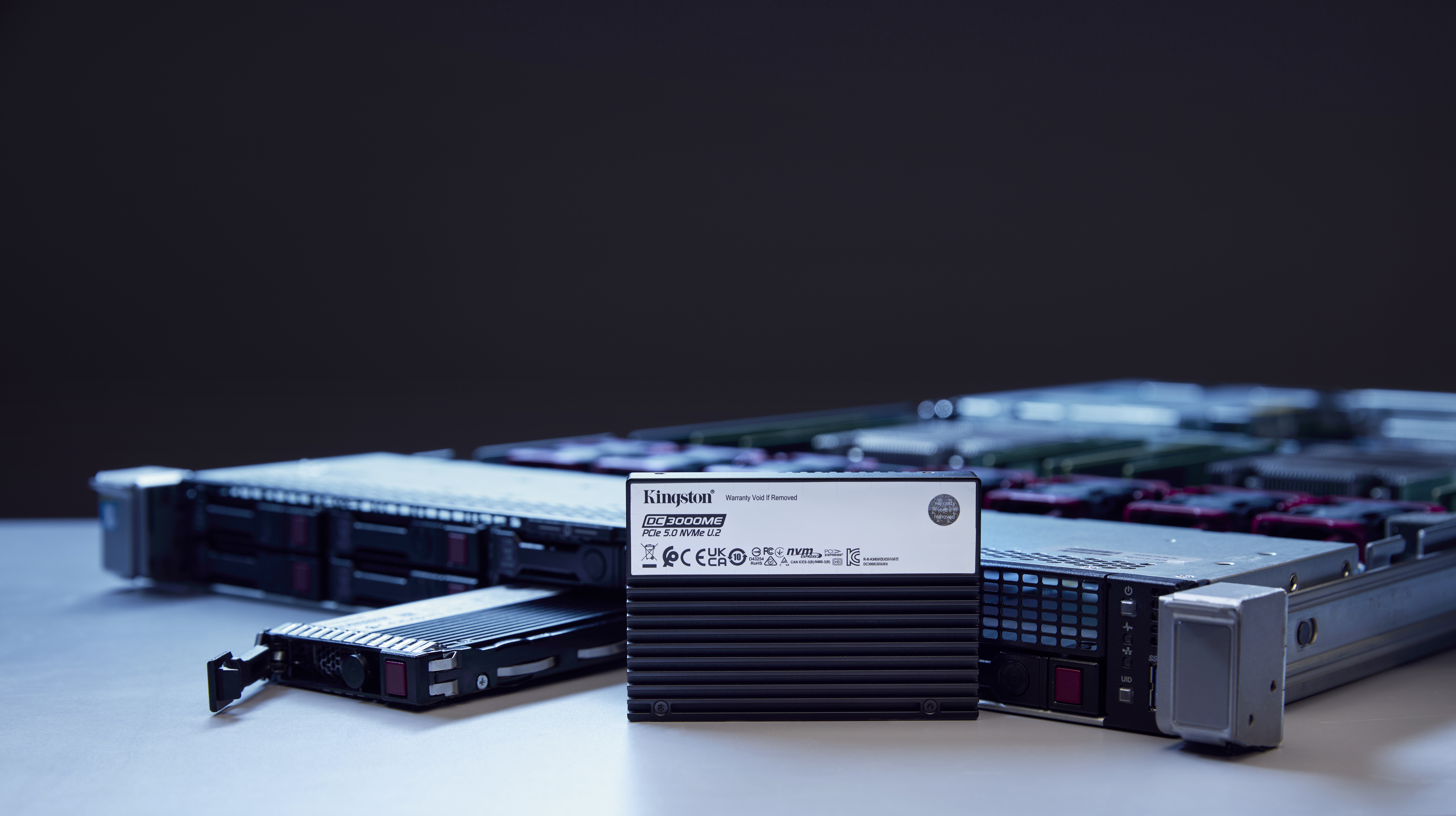 Kingston 30,7TB DC3000ME U.2 PCIe 5.0 NVMe TCG Opal Enterprise SSD, 30 TB, U.2, 14000 MB/s
