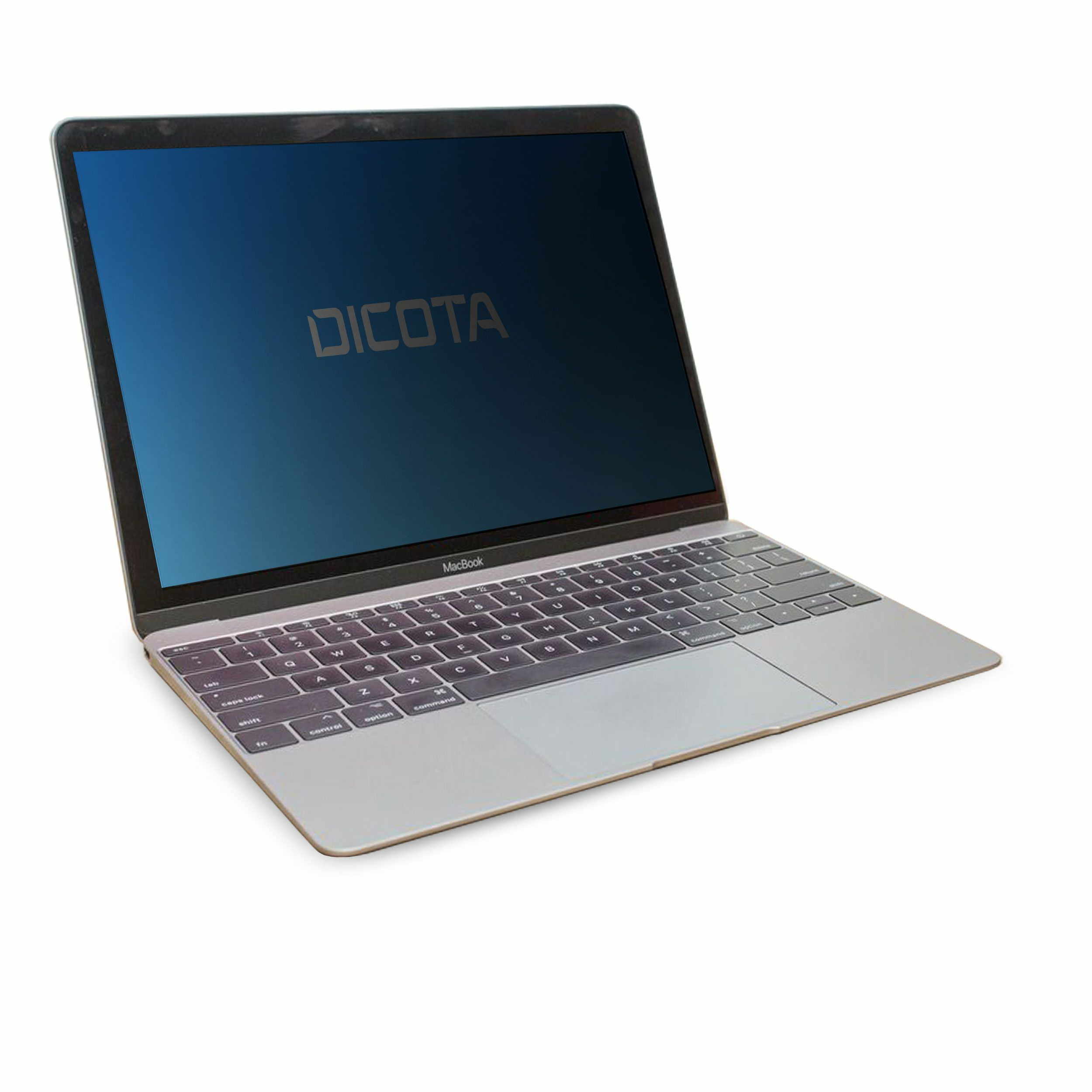 Dicota Secret - Blickschutzfilter für Notebook - 2-Wege - klebend - 30.5 cm (12")