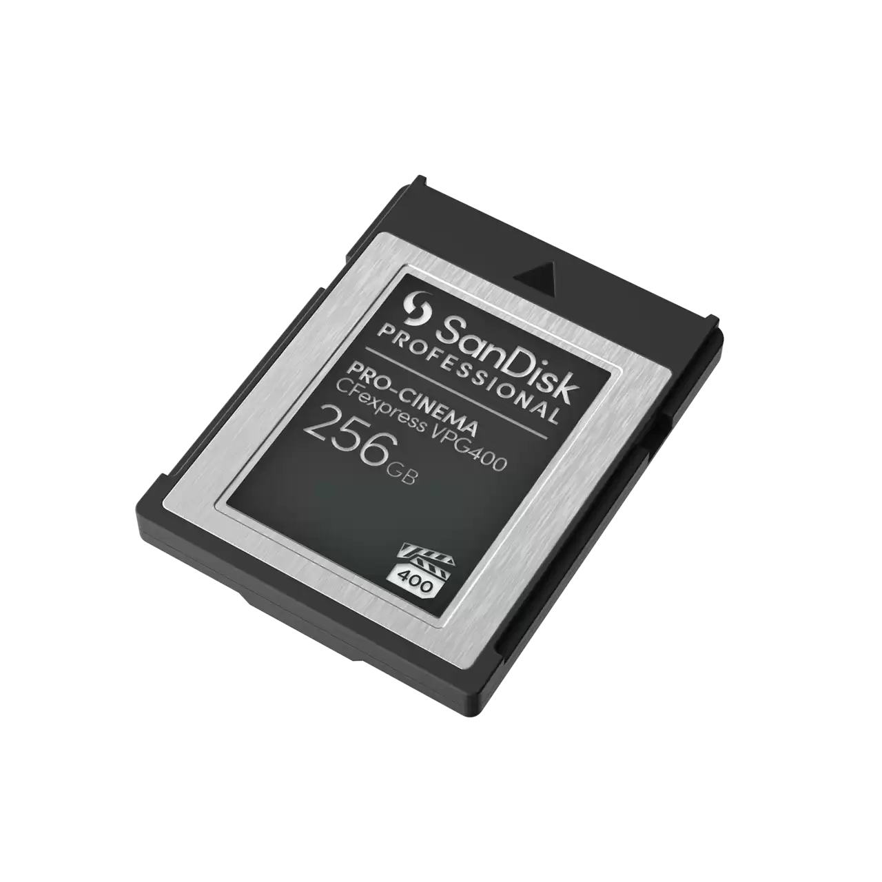 SanDisk Professional - Flash-Speicherkarte - 256 GB