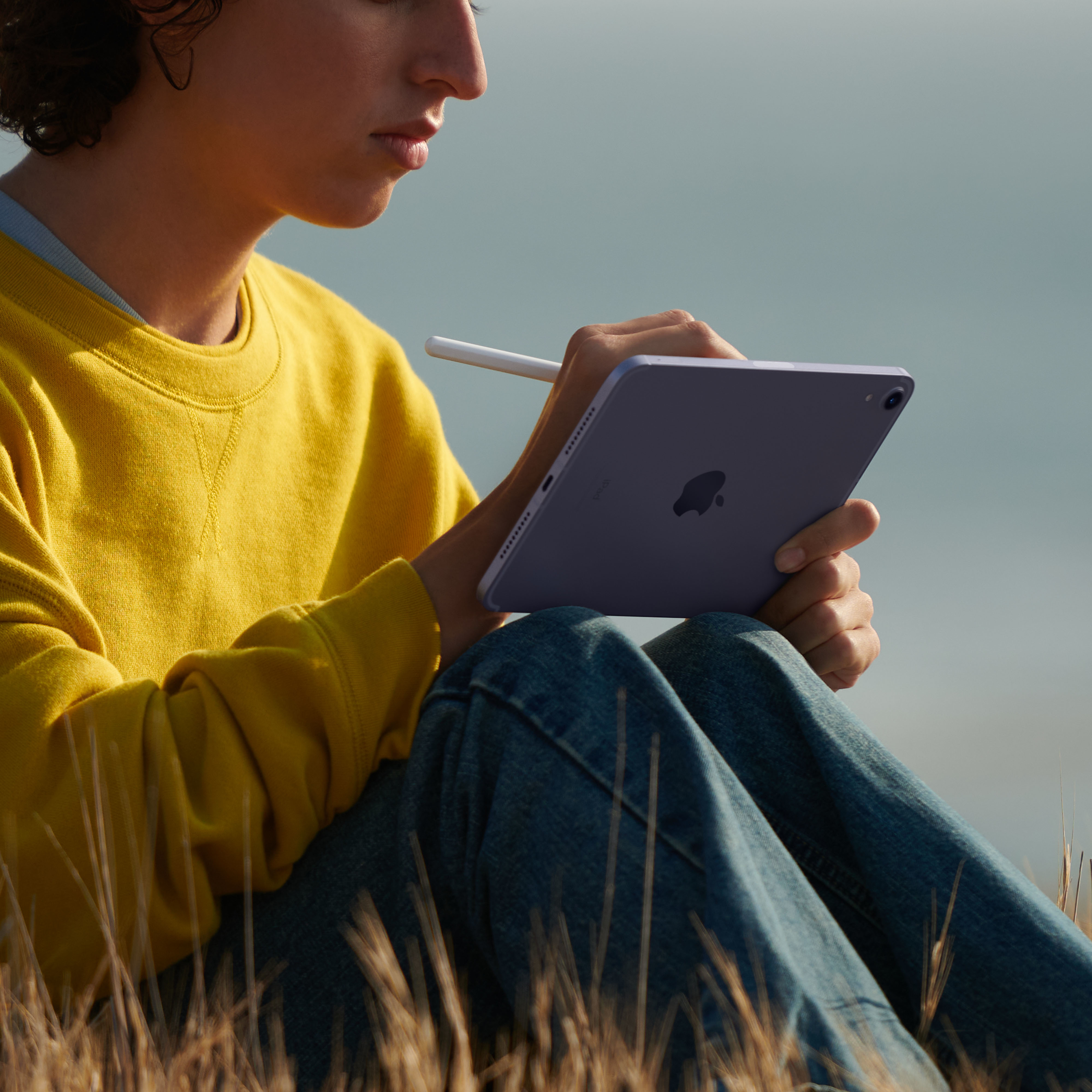 Apple iPad mini 6, gold, 64GB, 5G